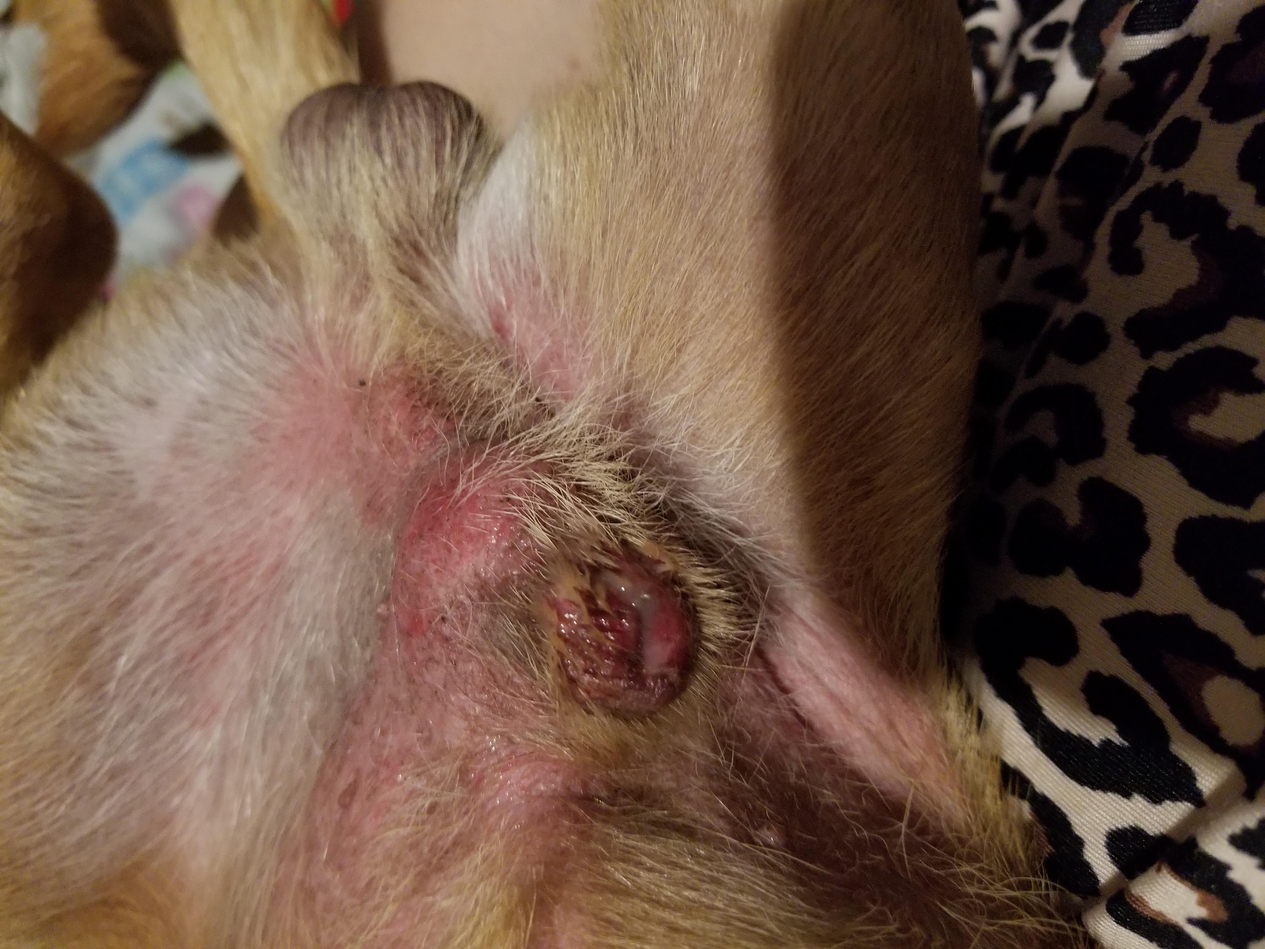 Question details sensitive content