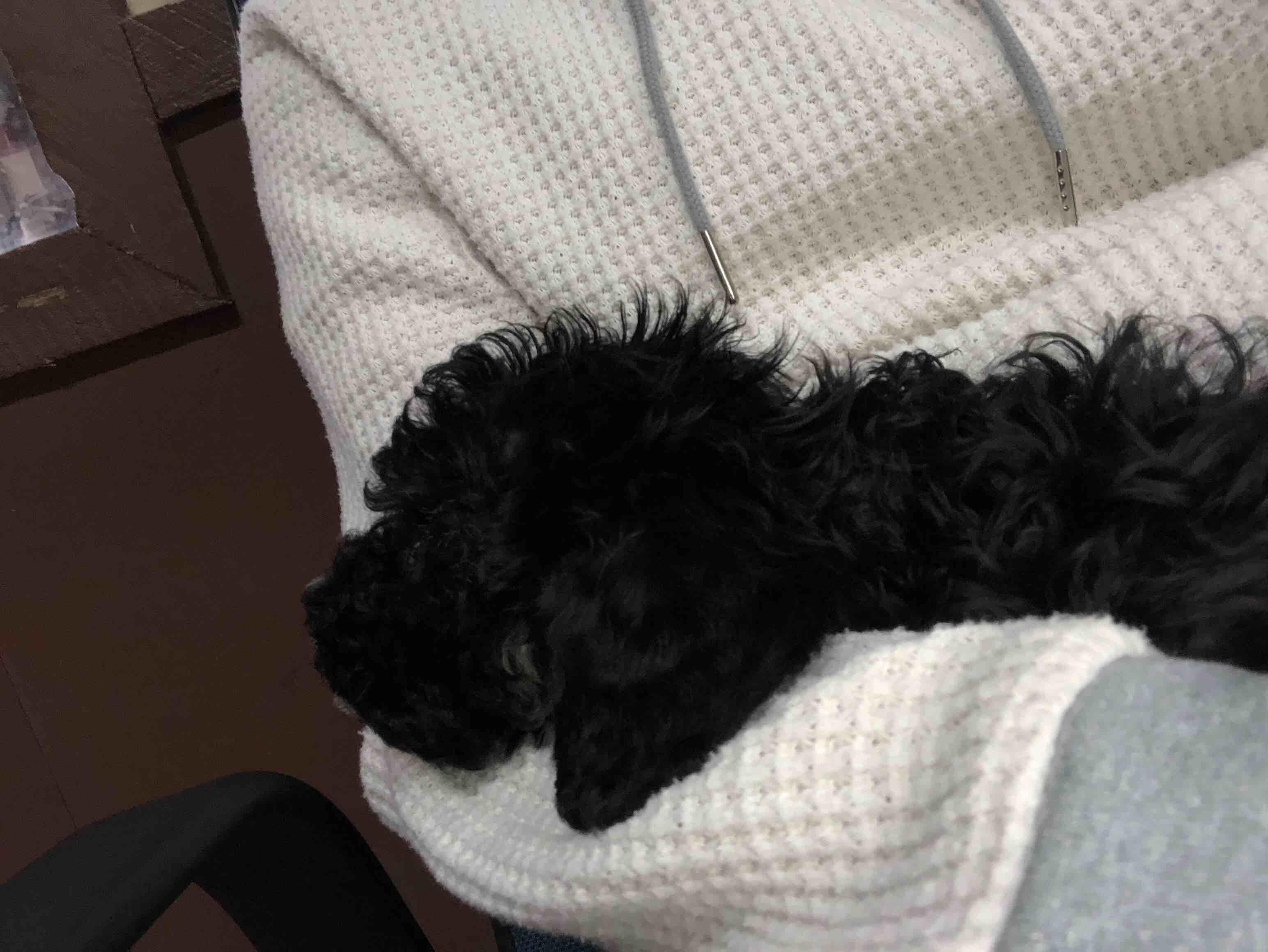 Question details sensitive content