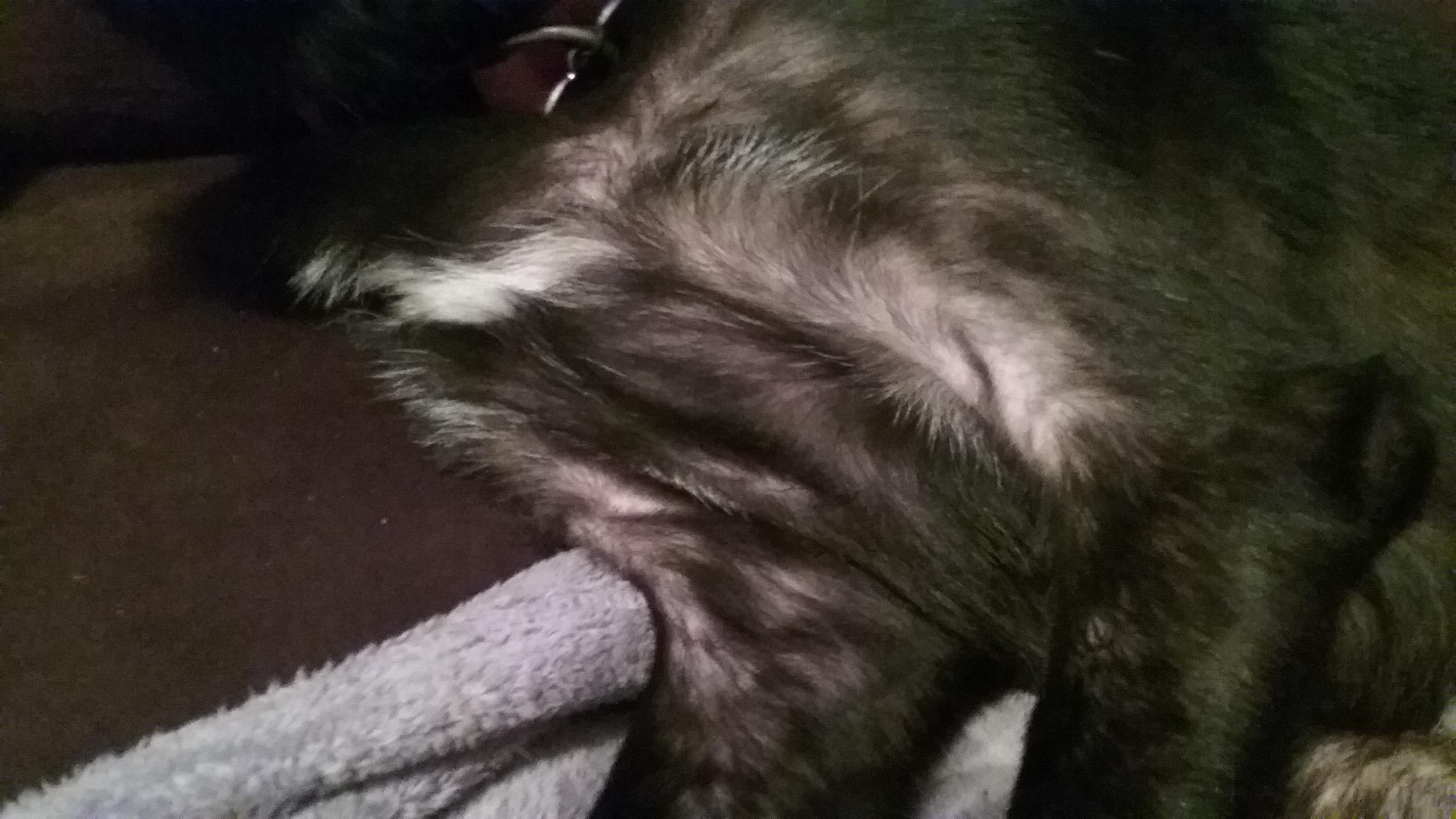 Question details sensitive content