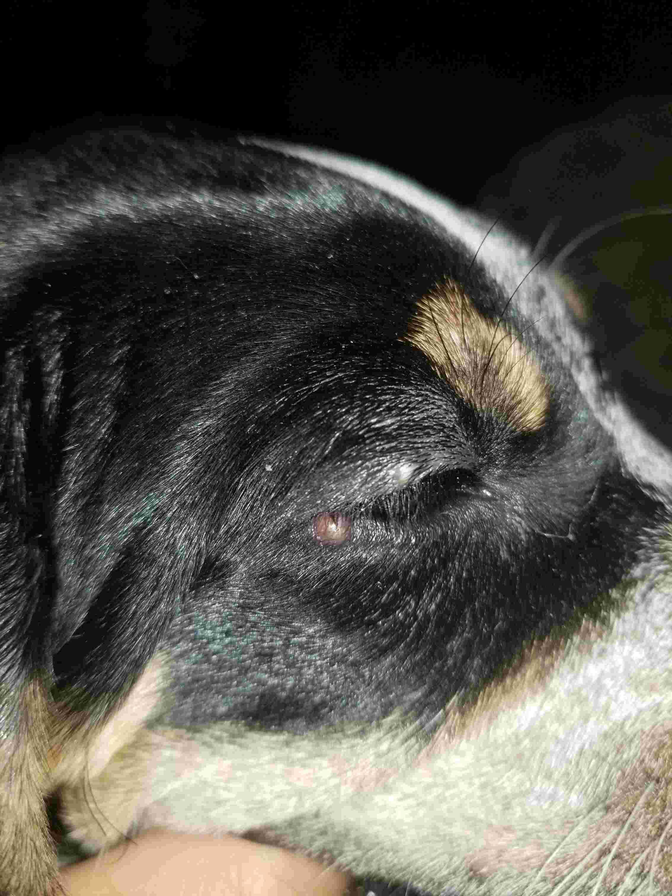 Question details sensitive content