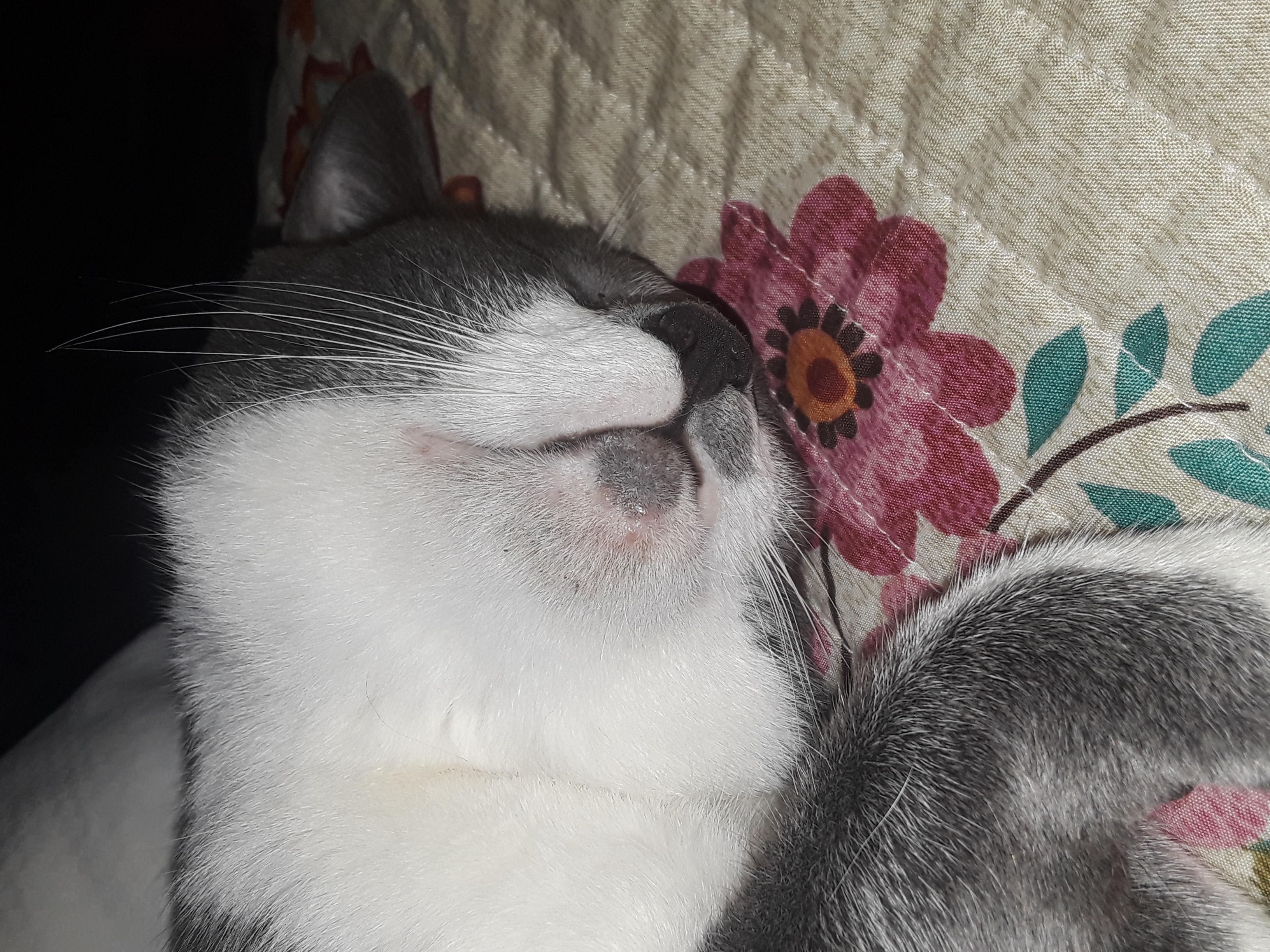 Question details sensitive content