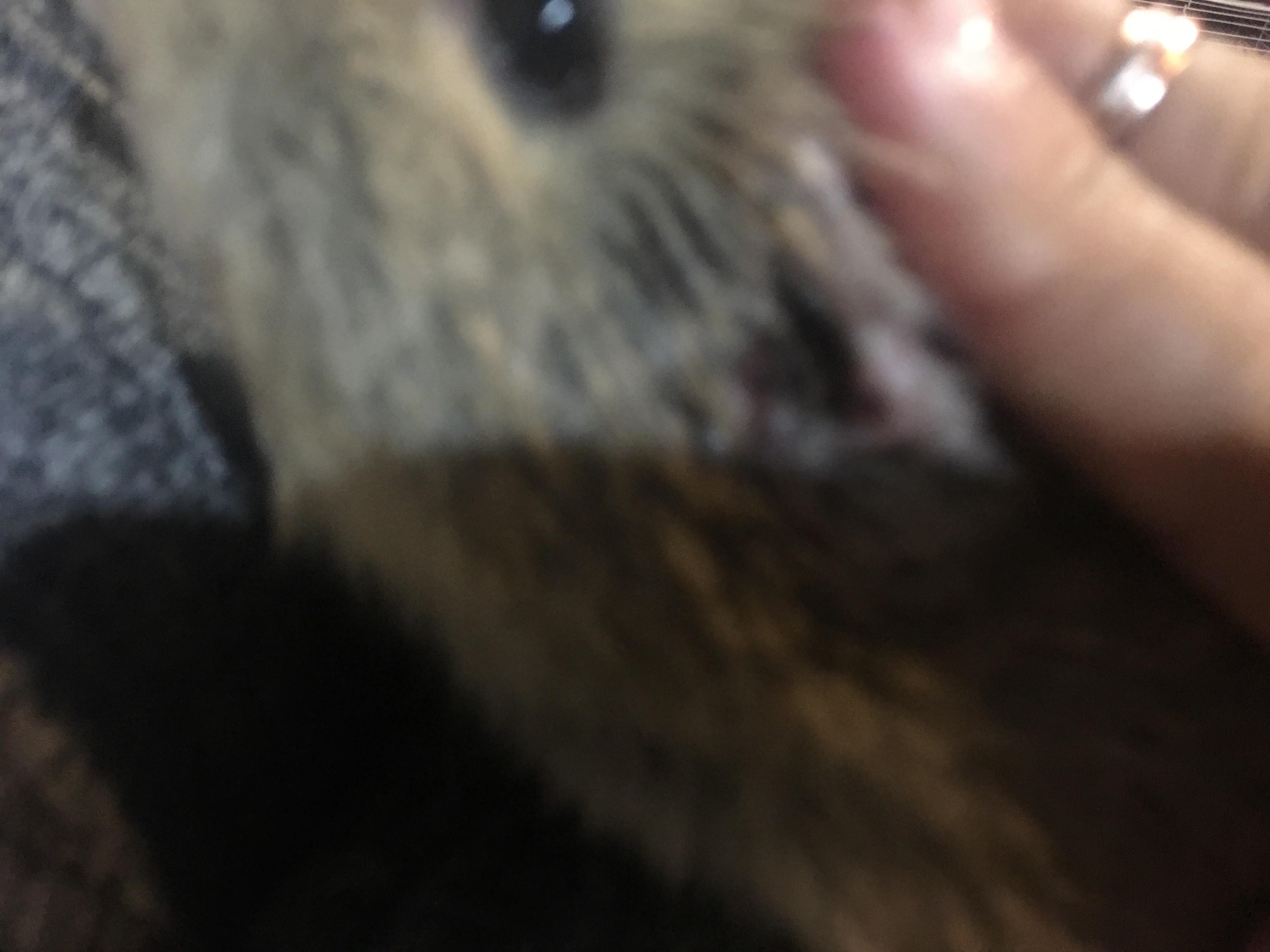 Question details sensitive content