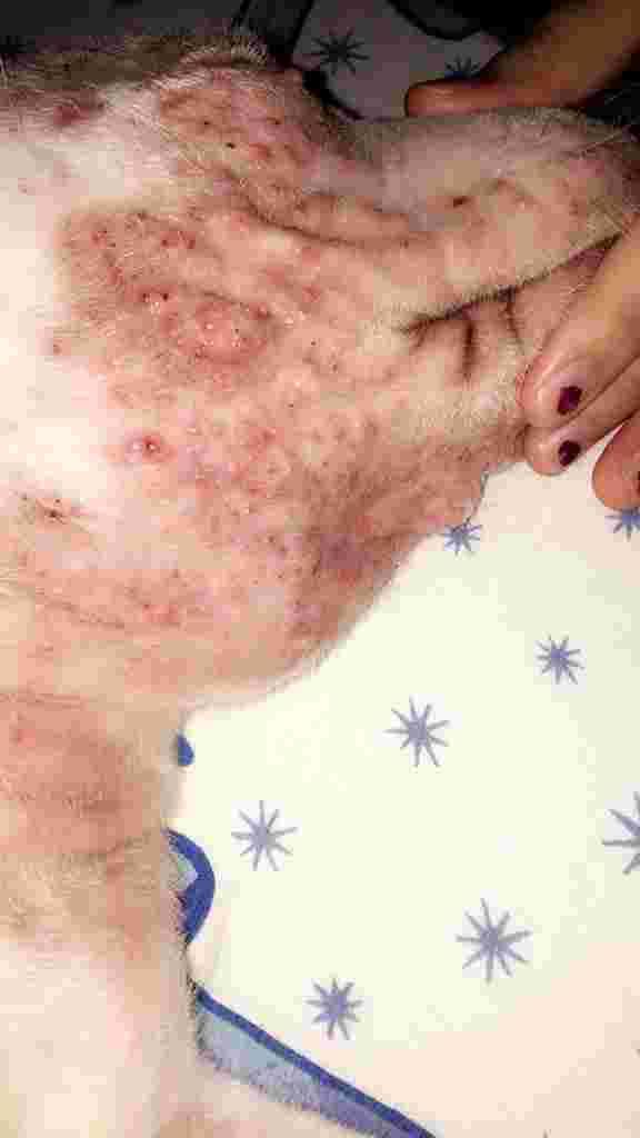 Question details sensitive content