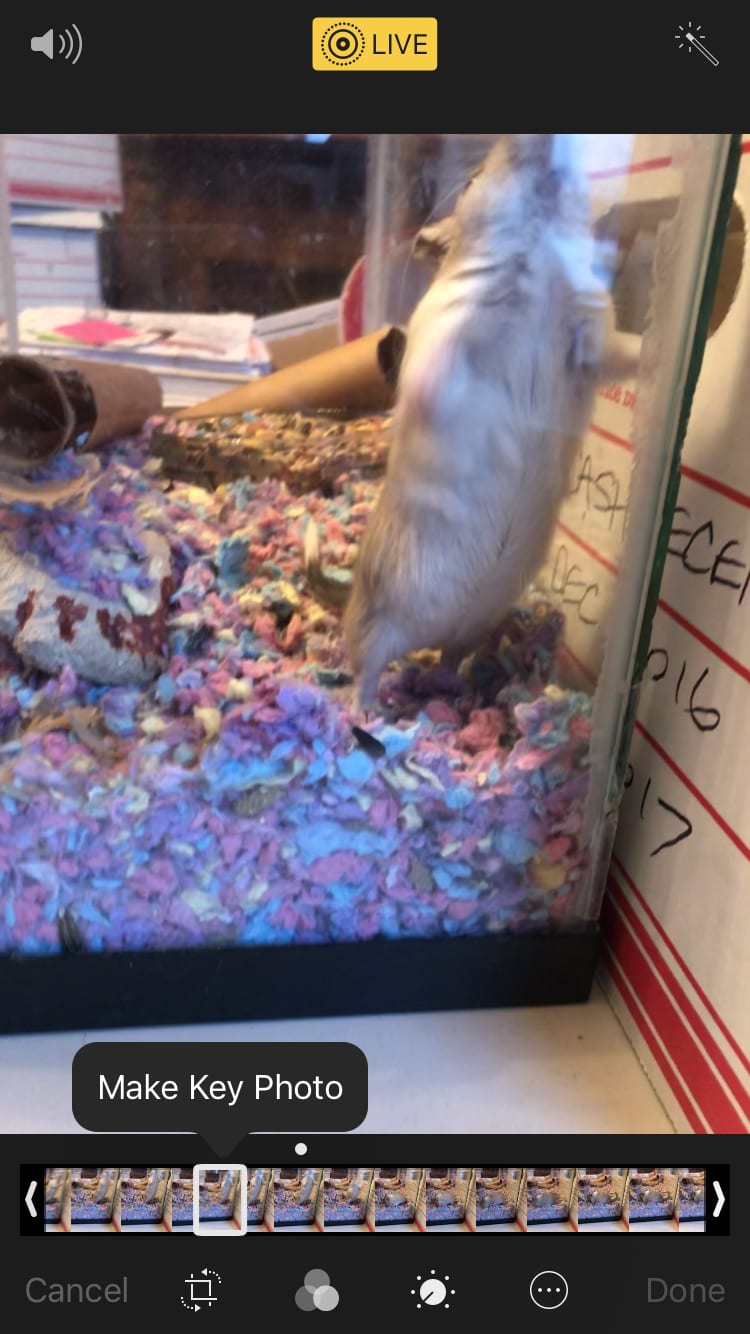 Question details sensitive content