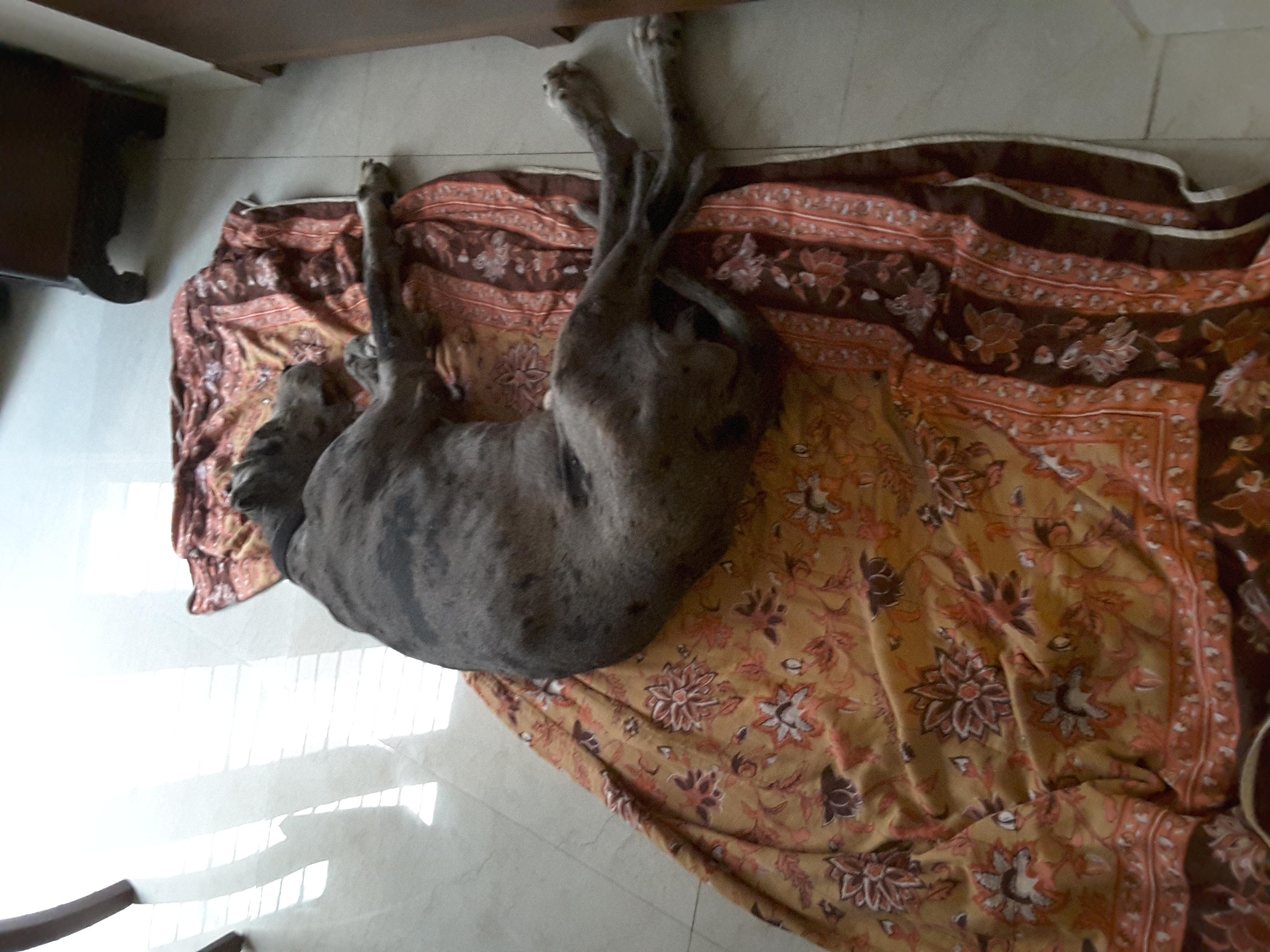 Question details sensitive content