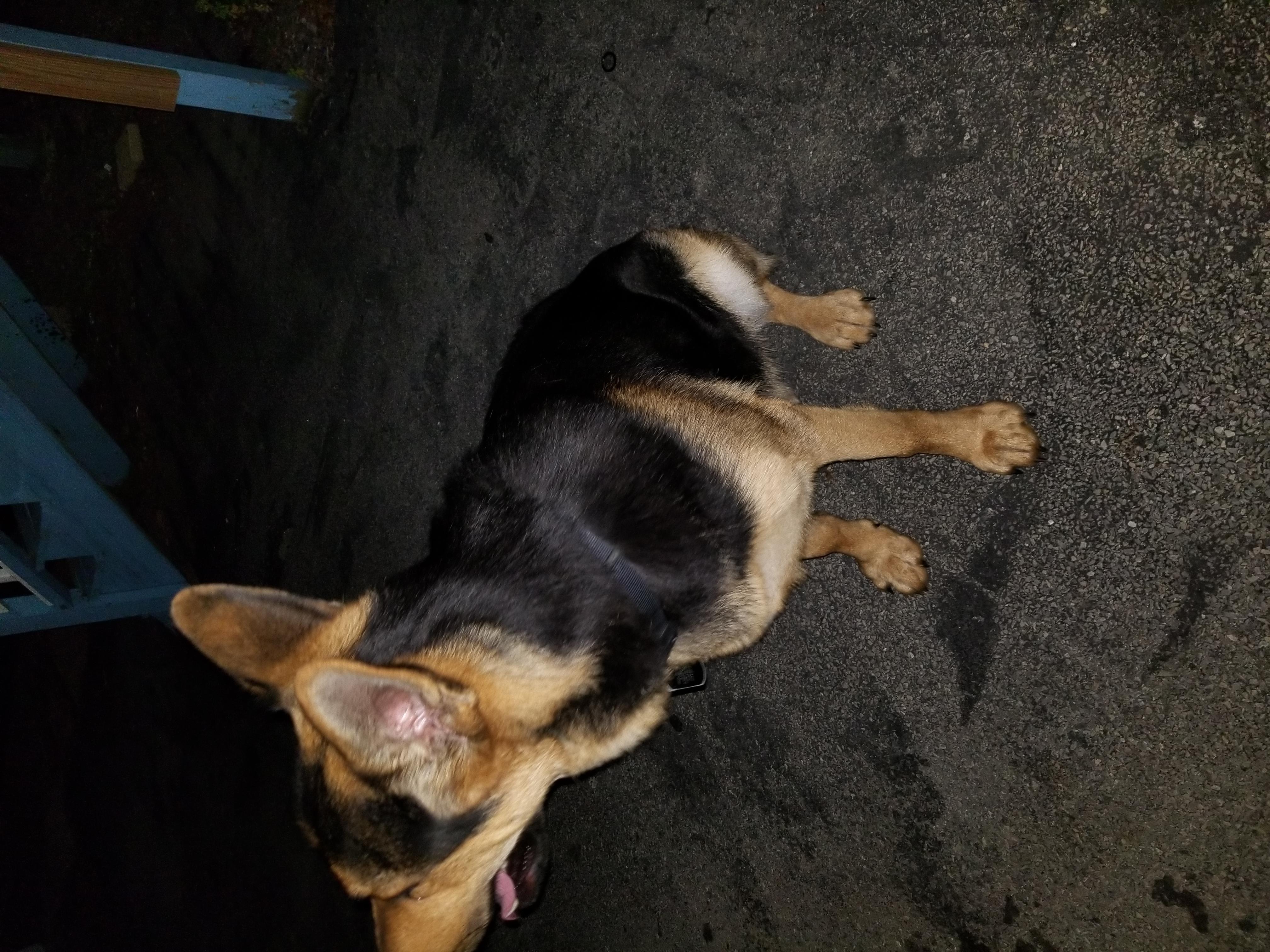 Question details sensitive content