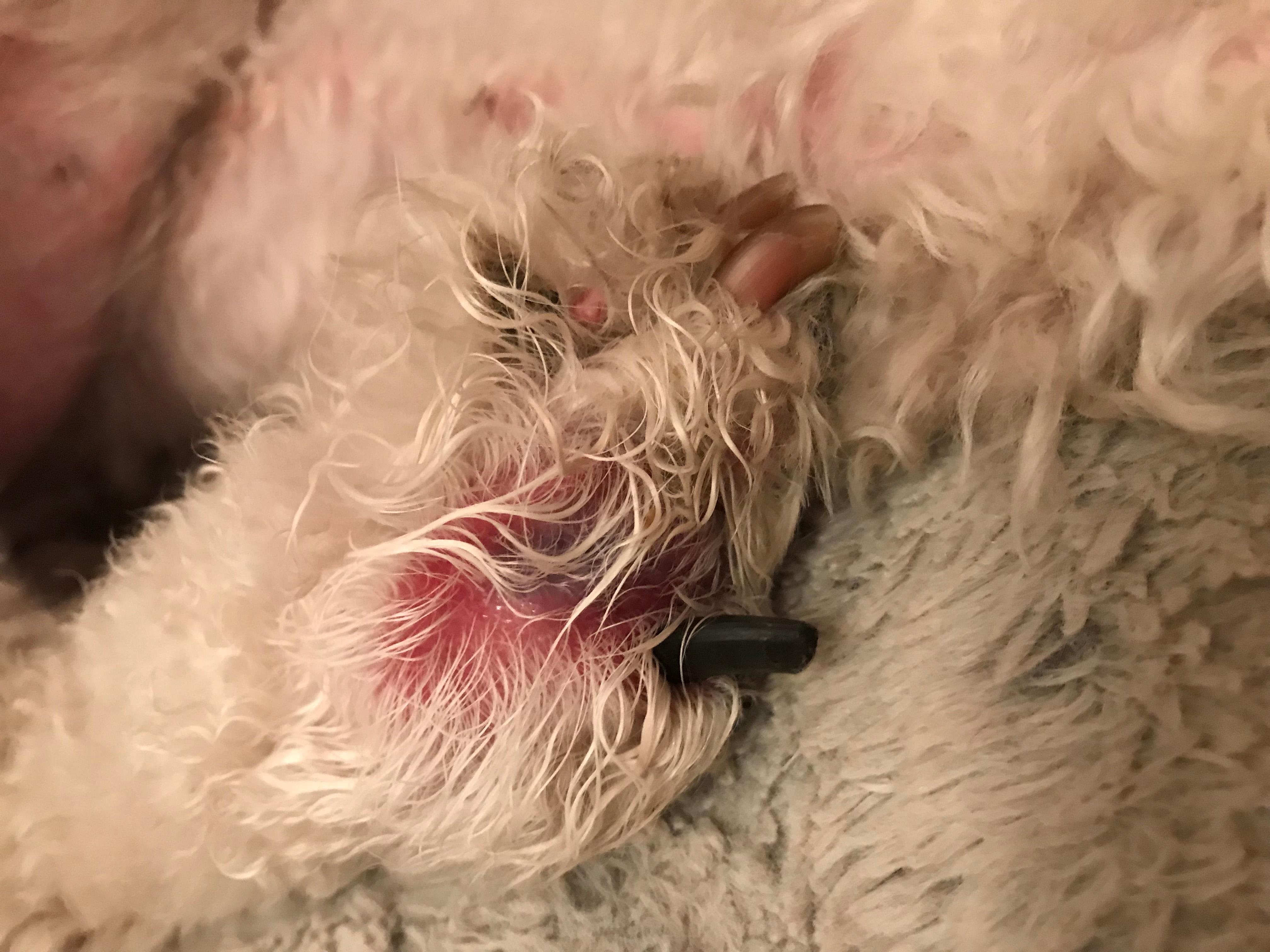 Question details sensitive content