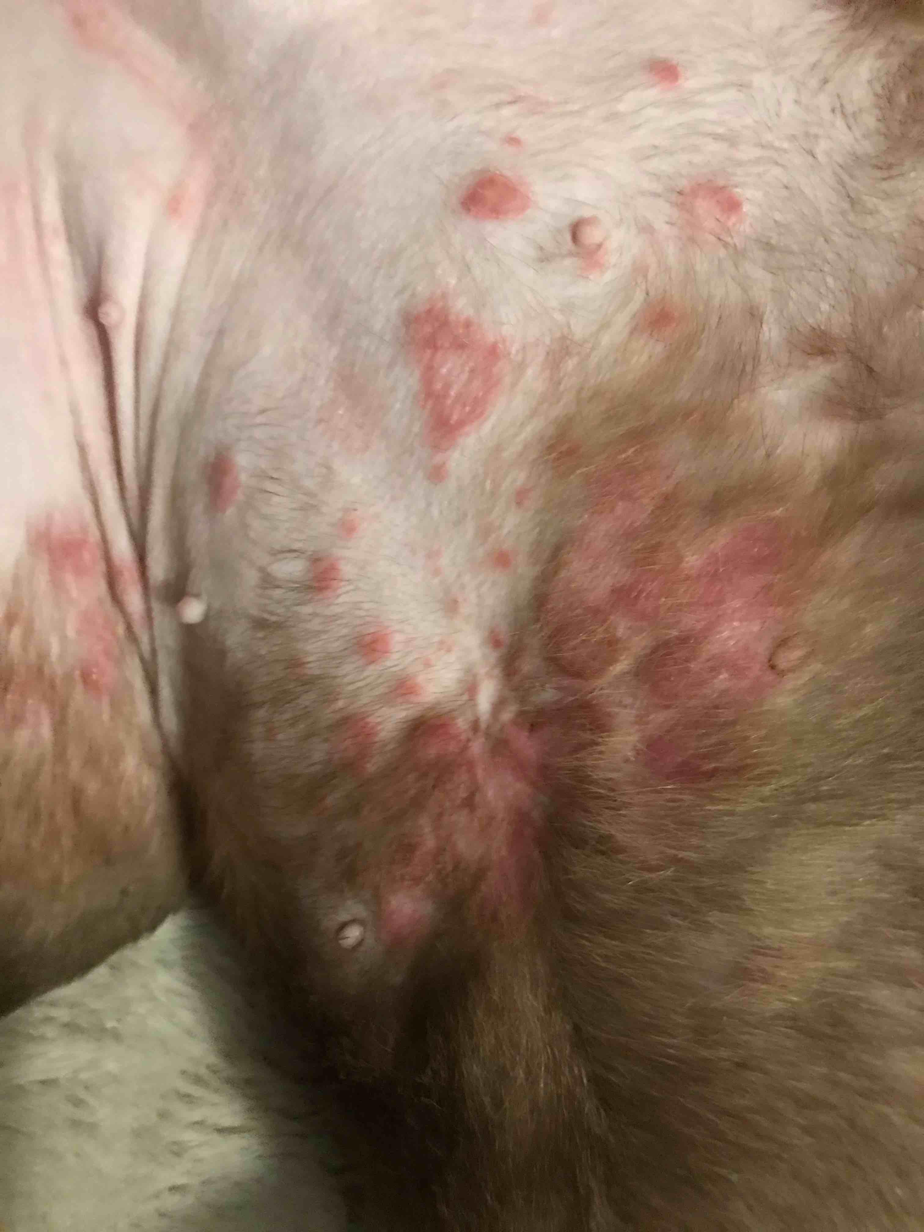 Question details sensitive content