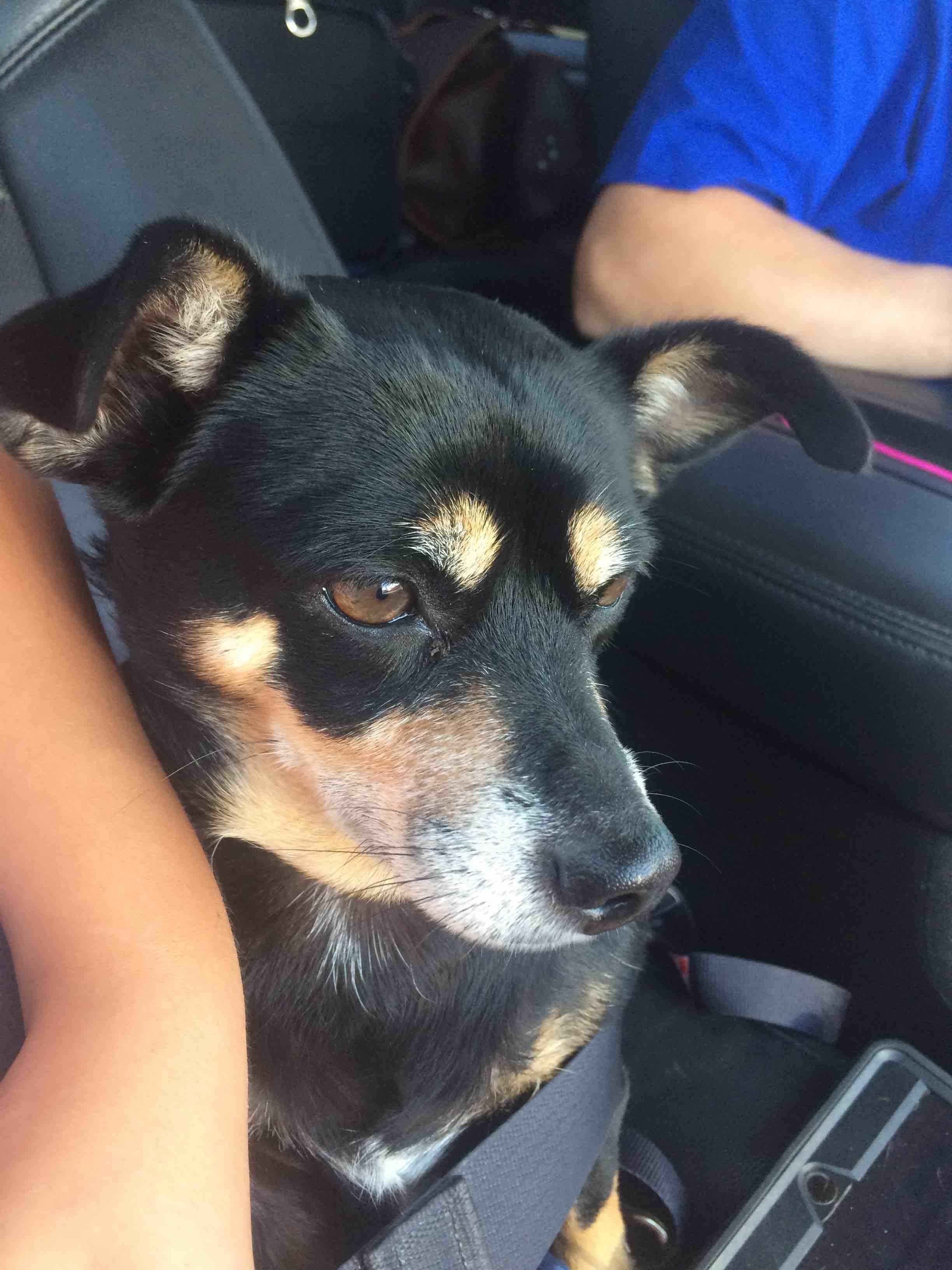 Question details sensitive content