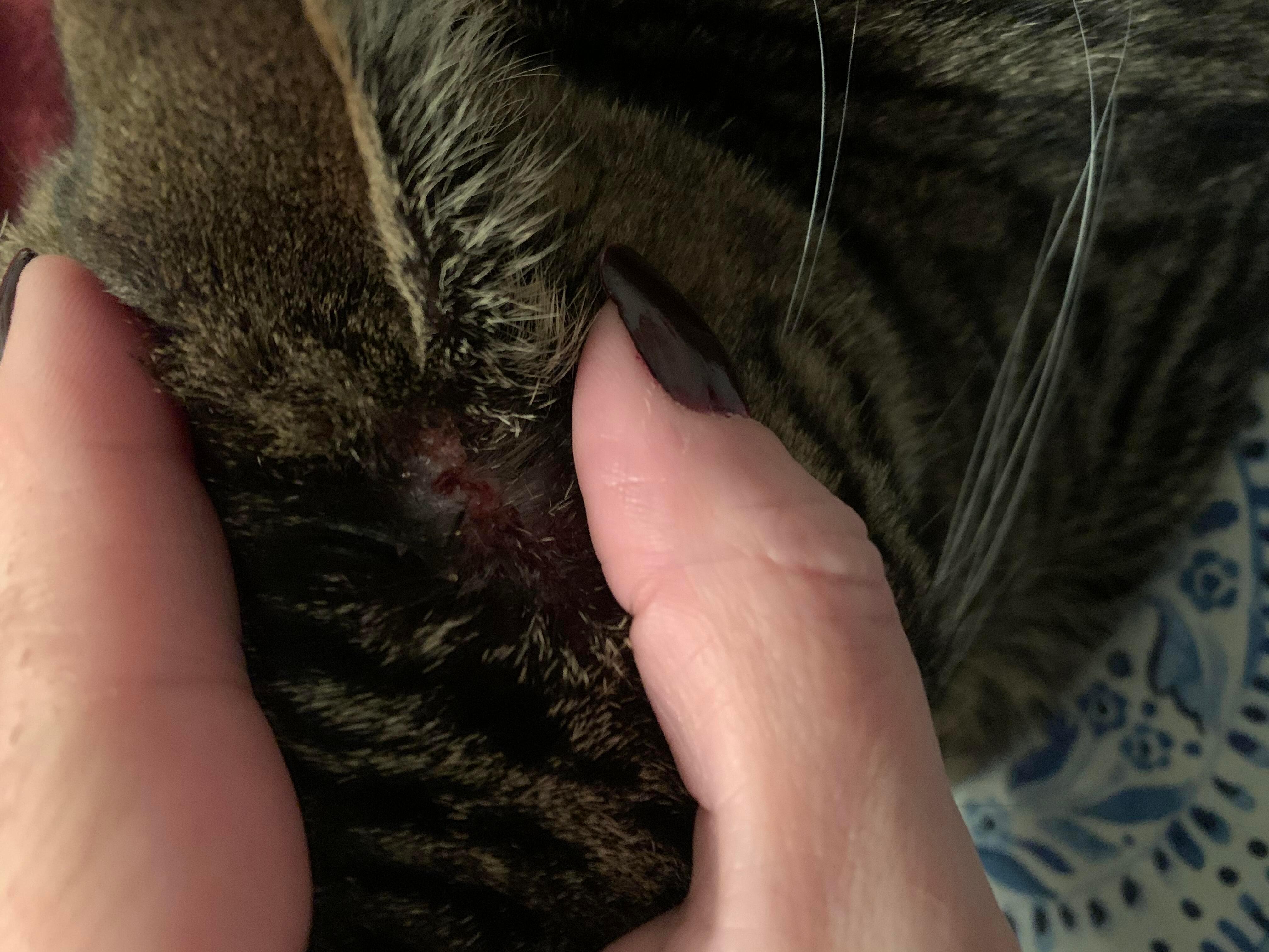 Question details sensitive content