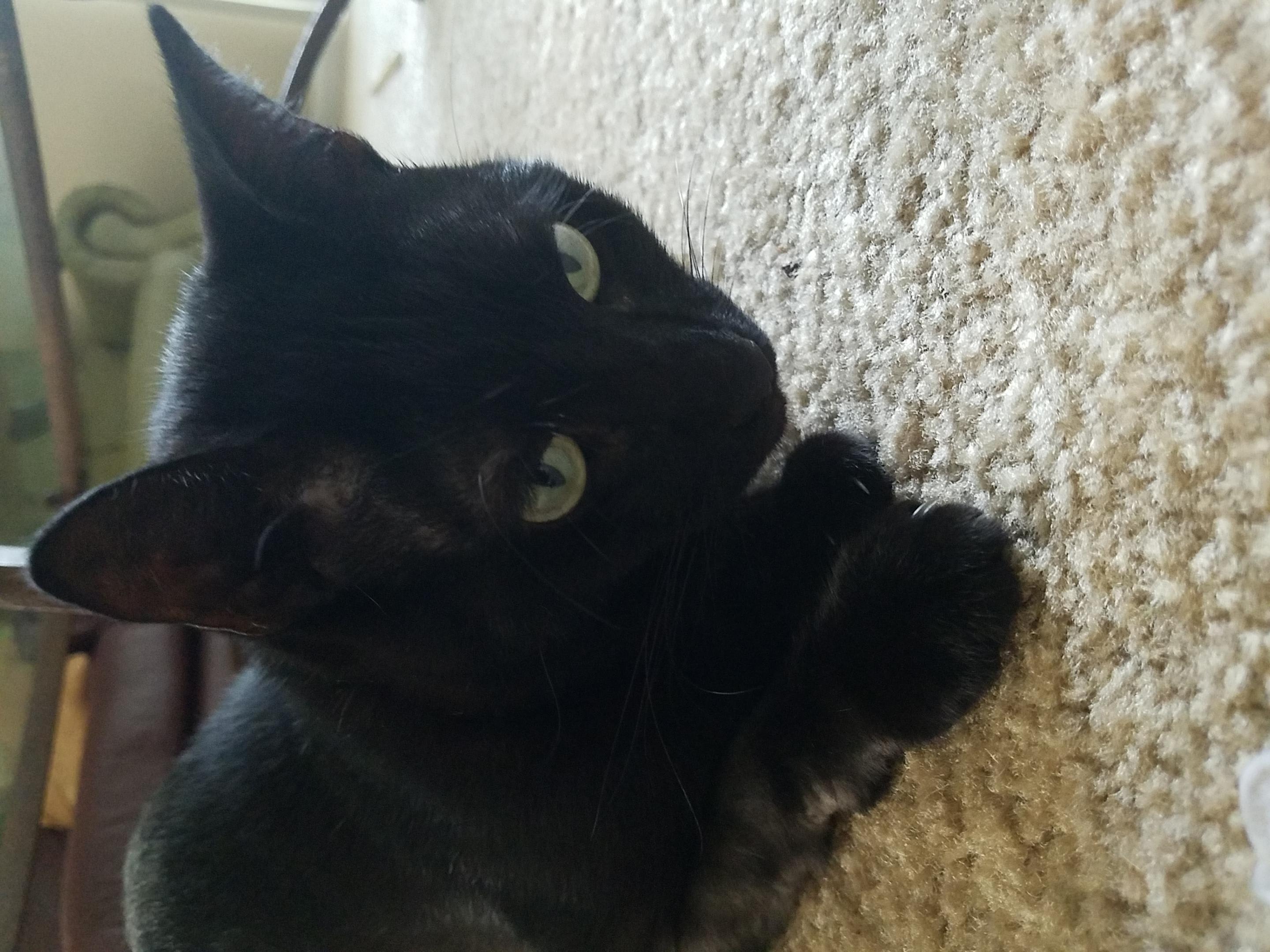 Question details sensitive content