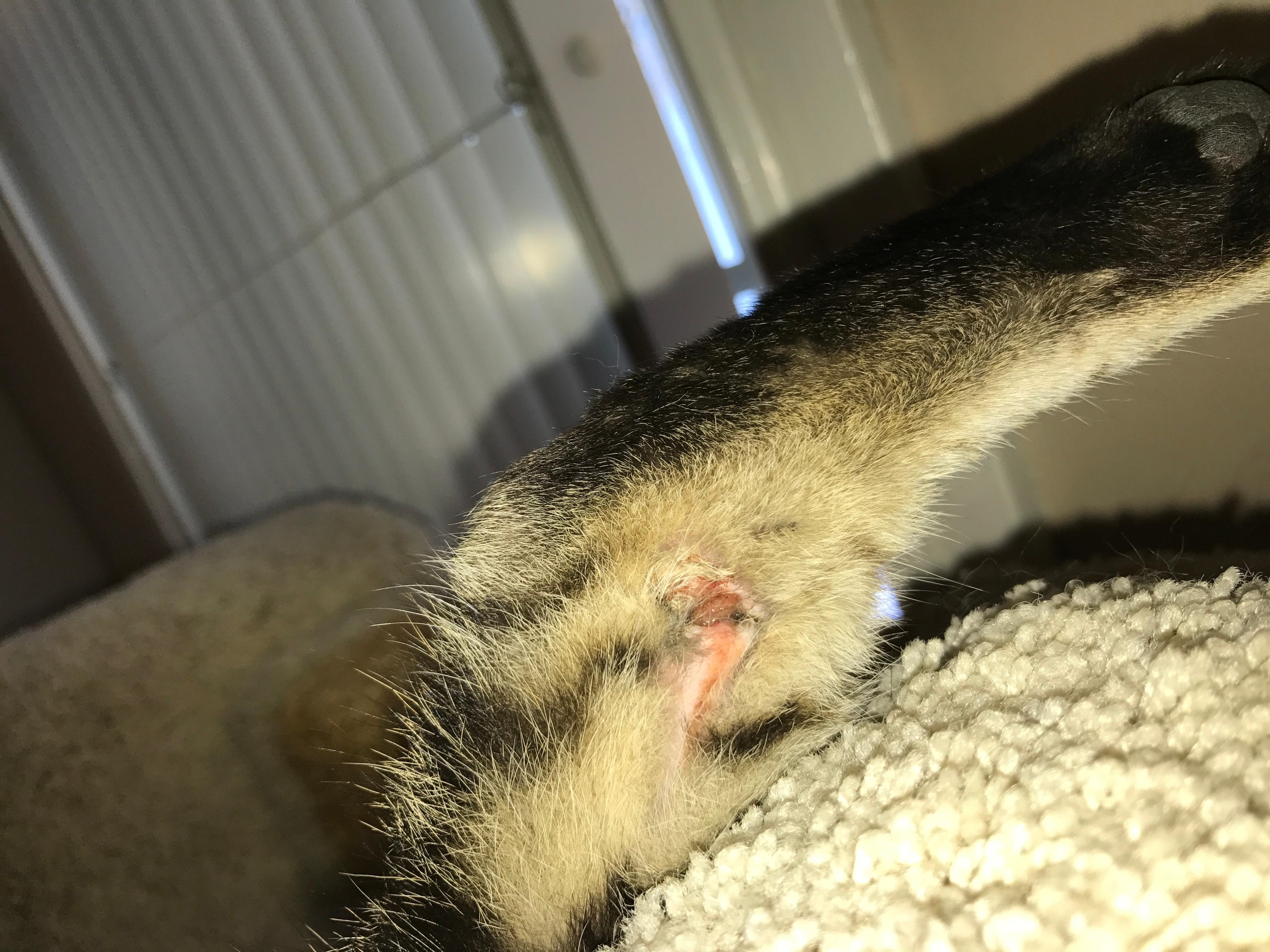 Question details sensitive content