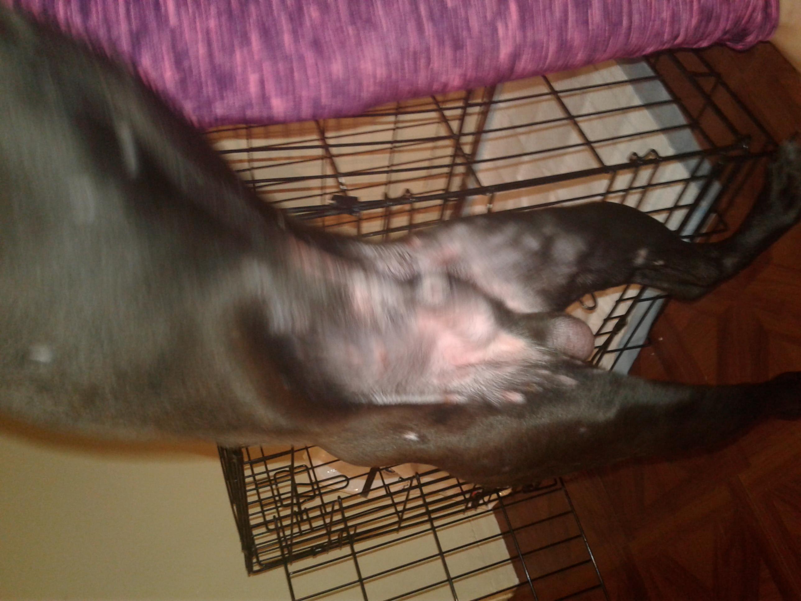 Question details sensitive content