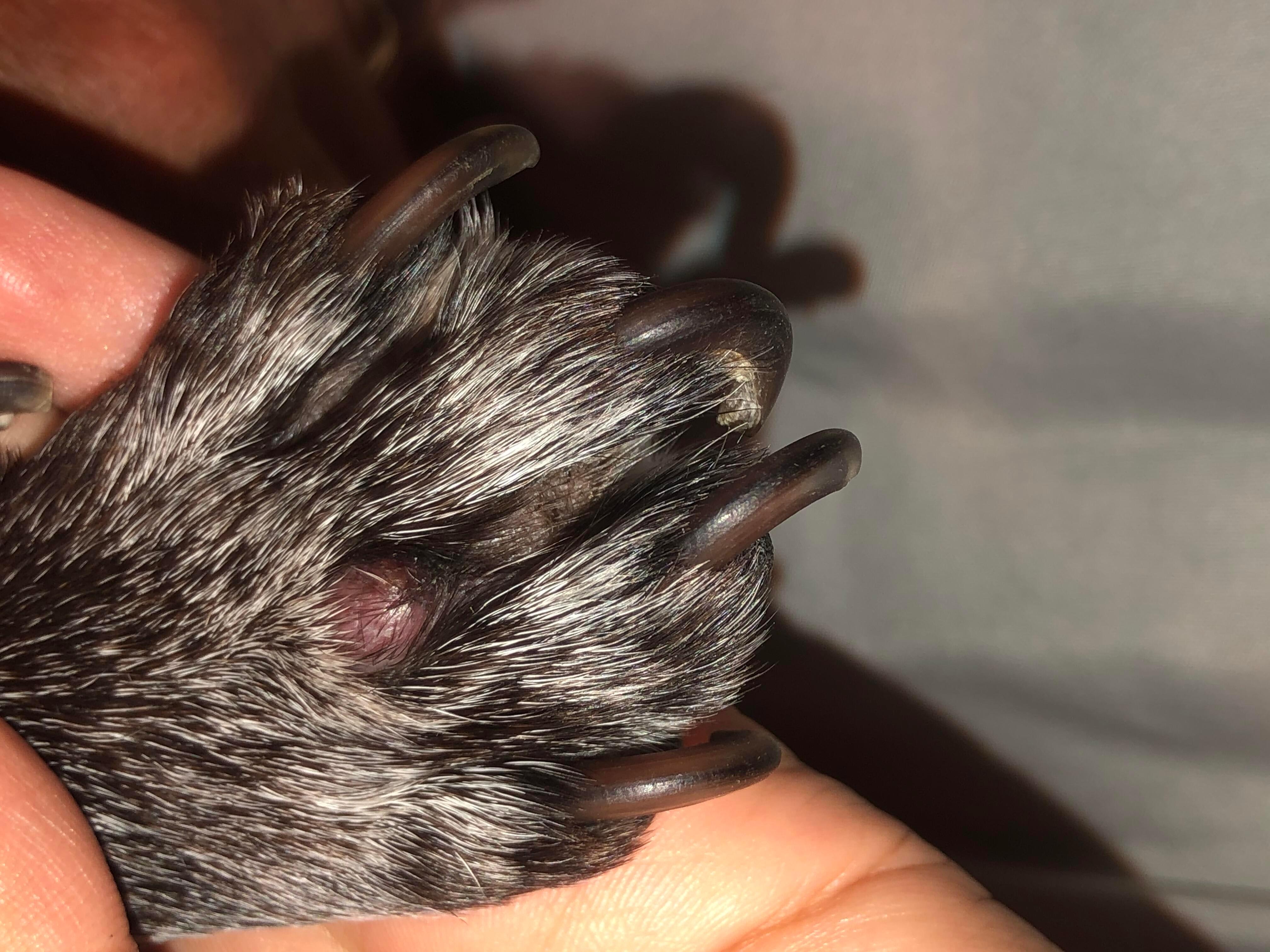 Question details sensitive content