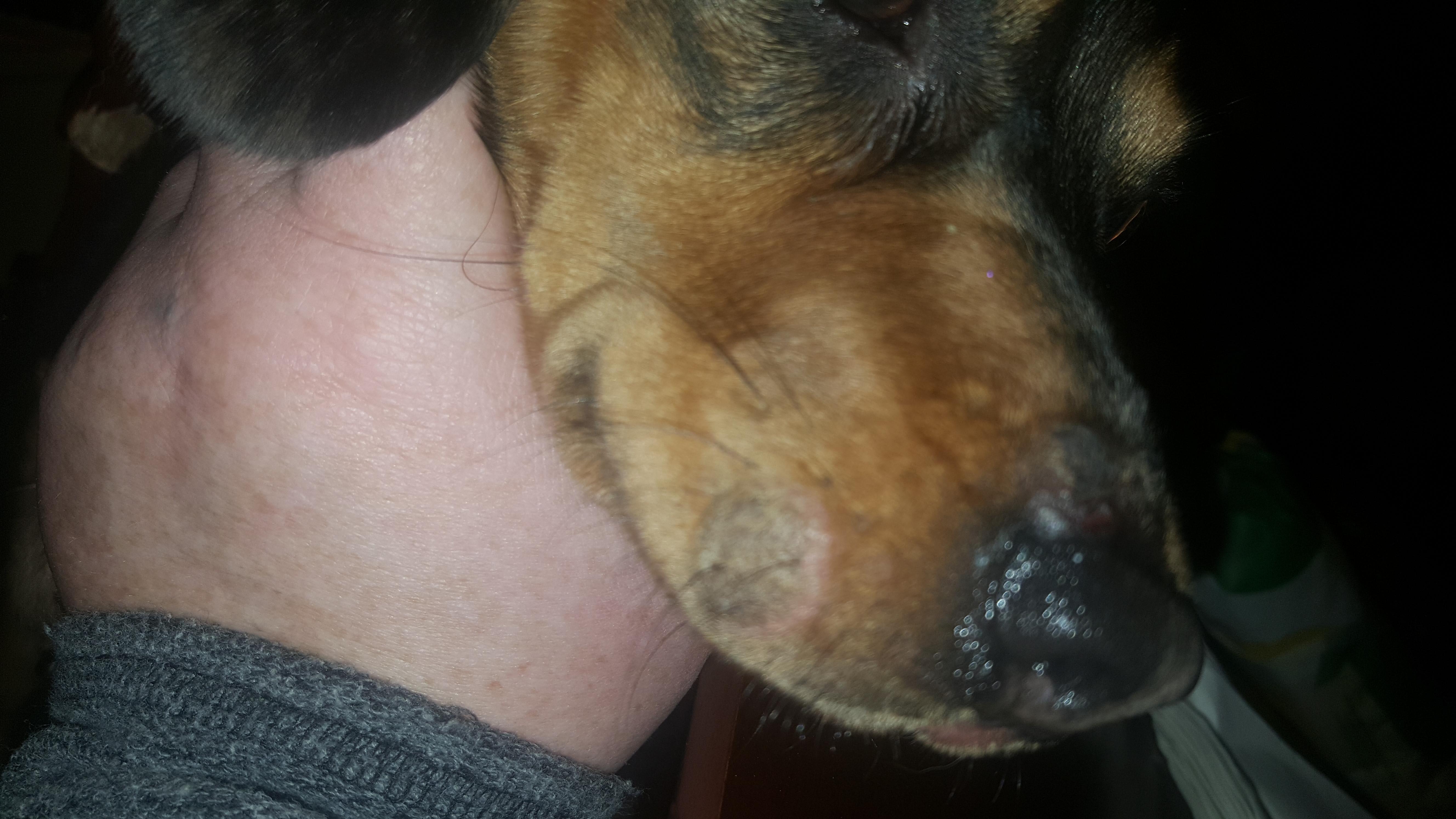 Question details sensitive content