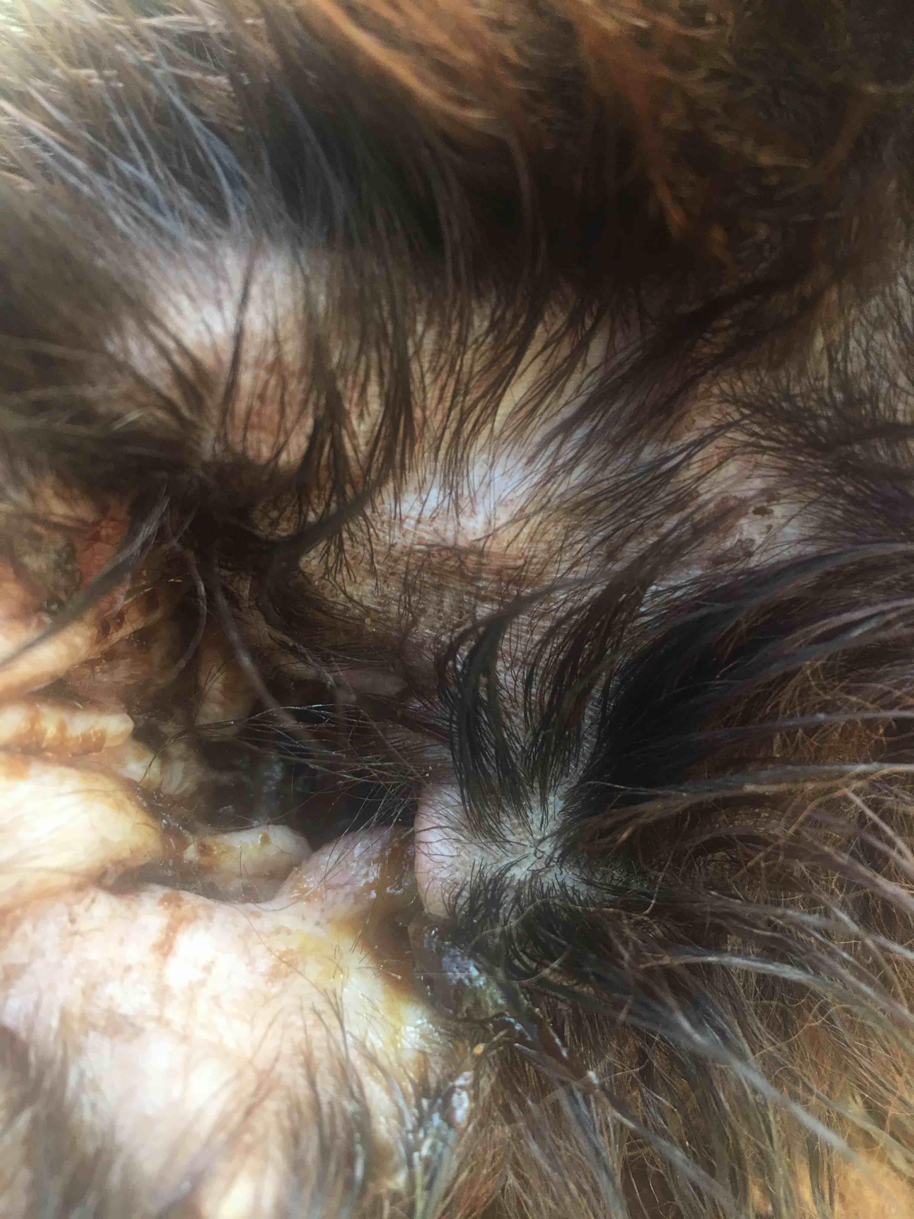 Question details sensitive content