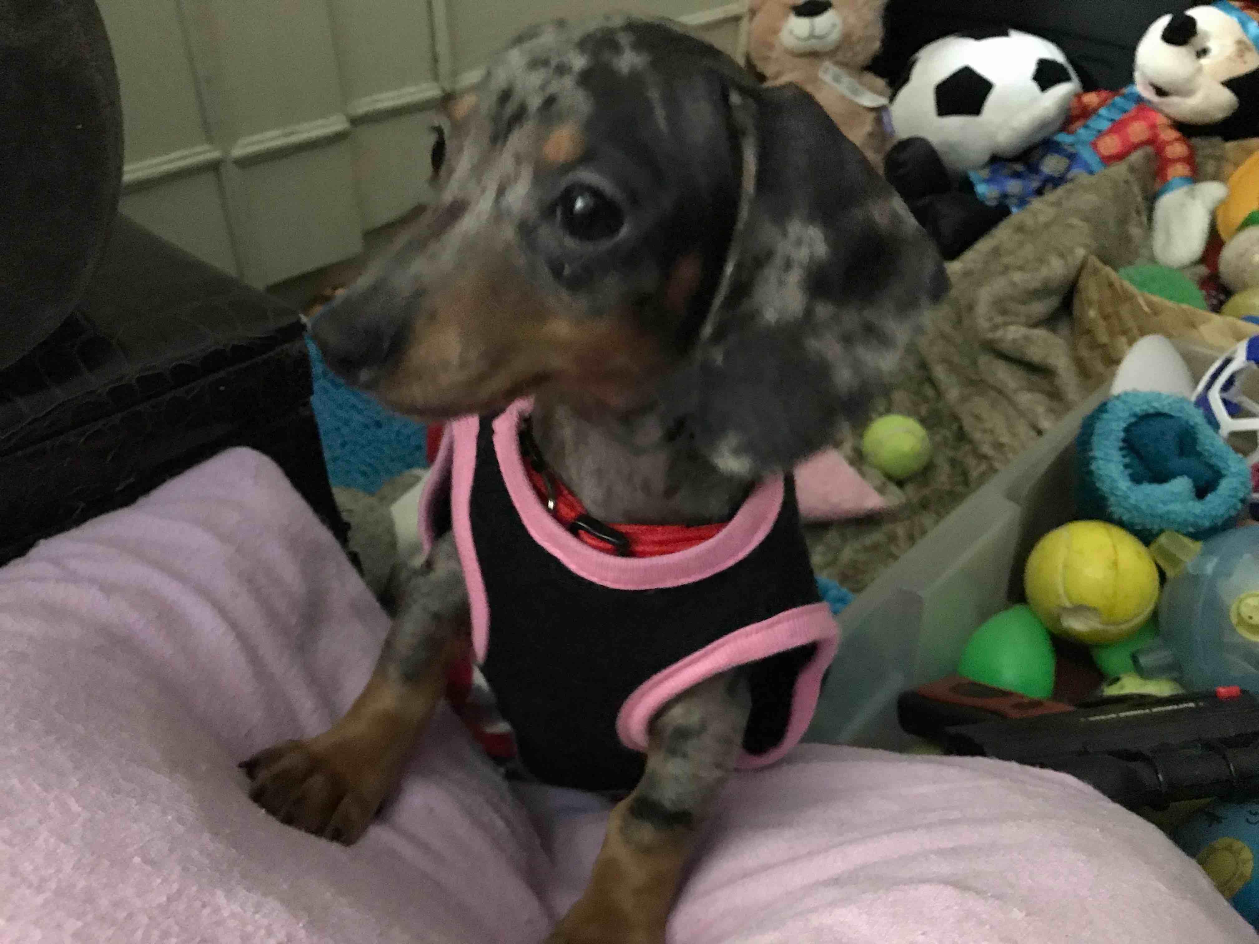 Question details sensitive content