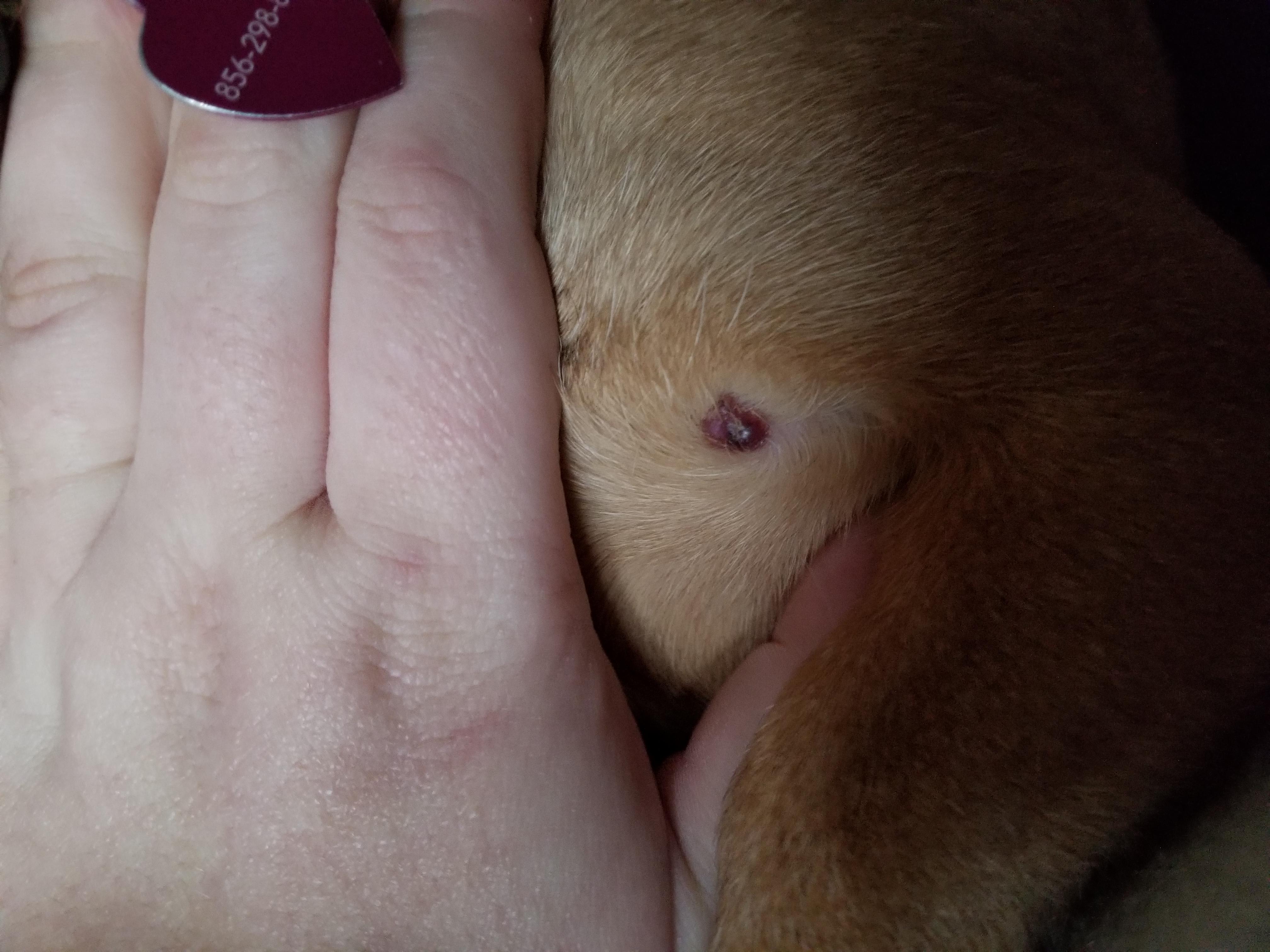 Question details sensitive content