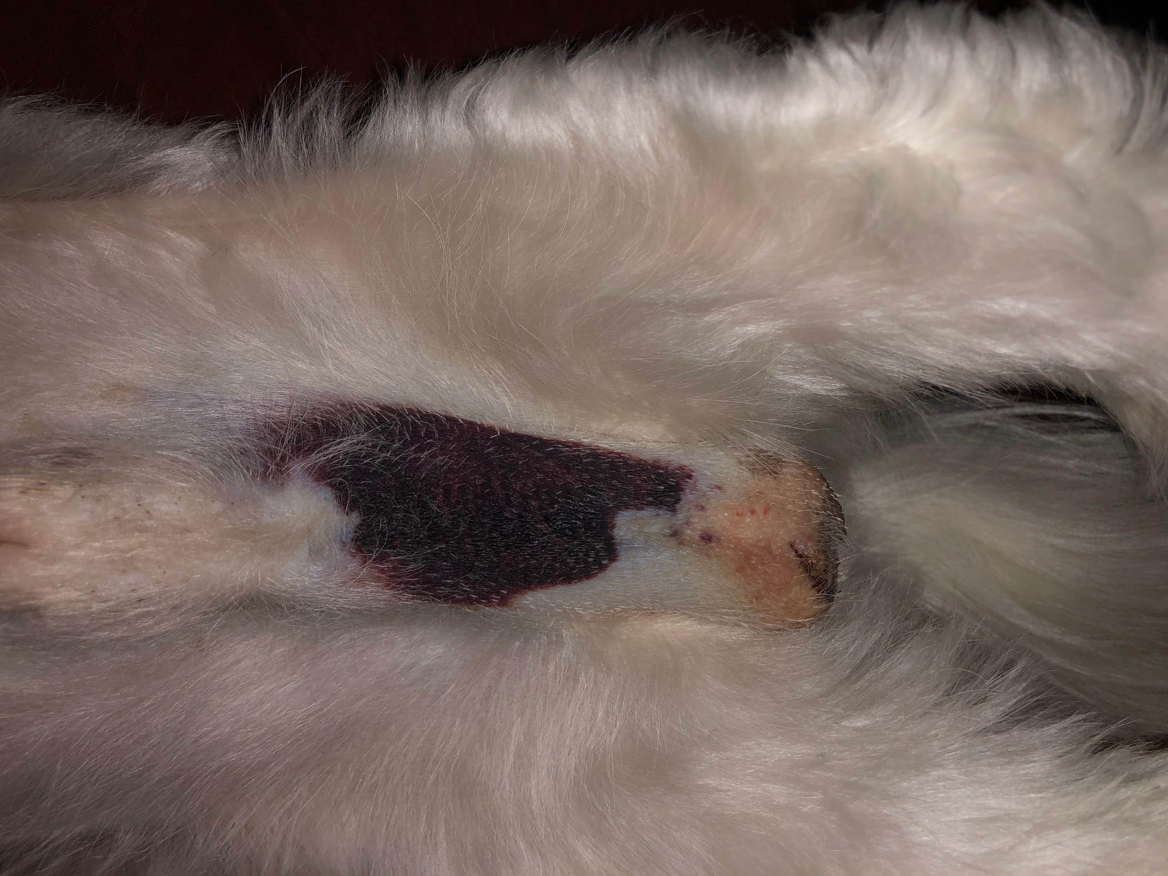 Question details sensitive content