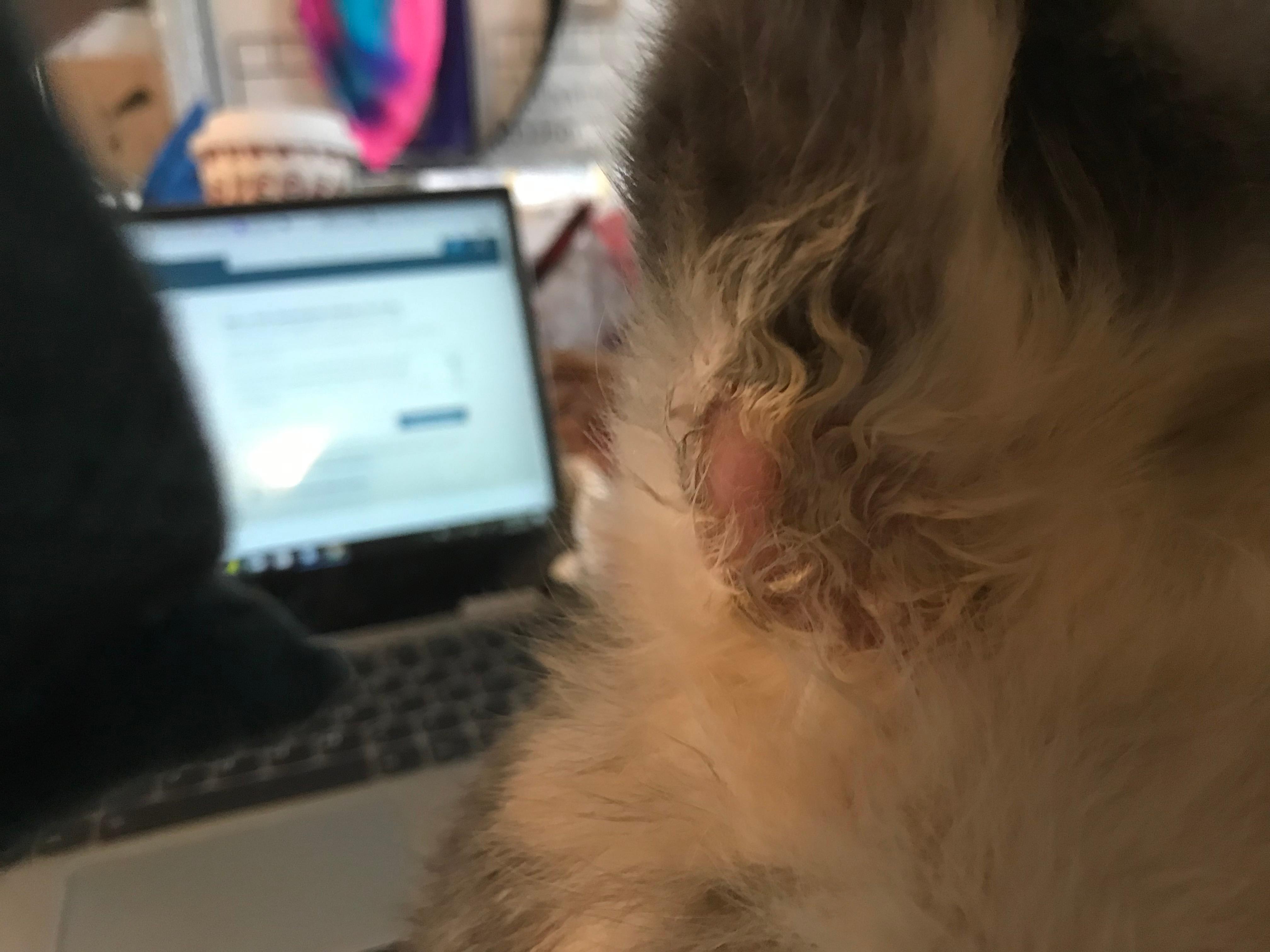 Question details sensitive content