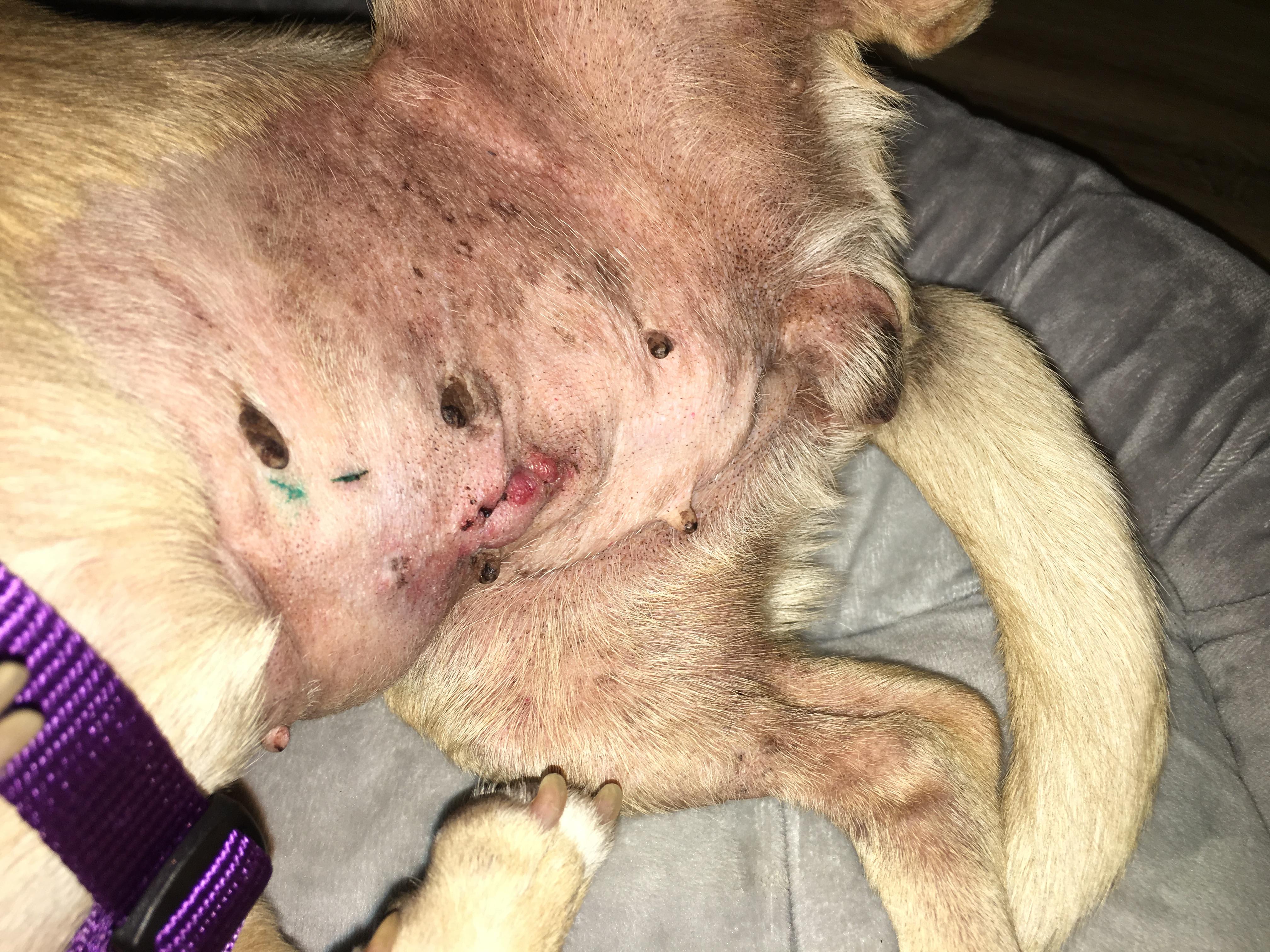 Question details sensitive content