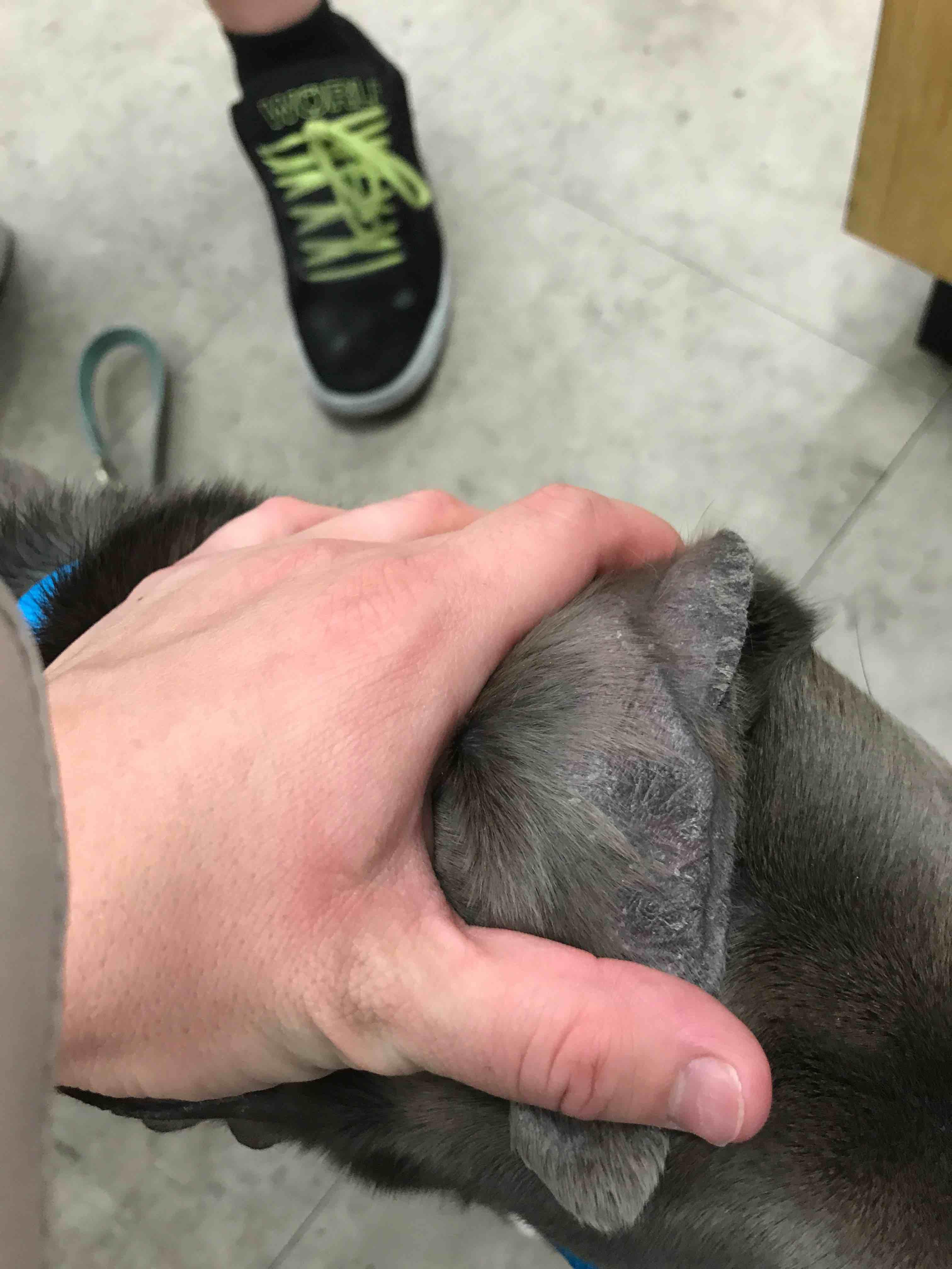 Question details sensitive content