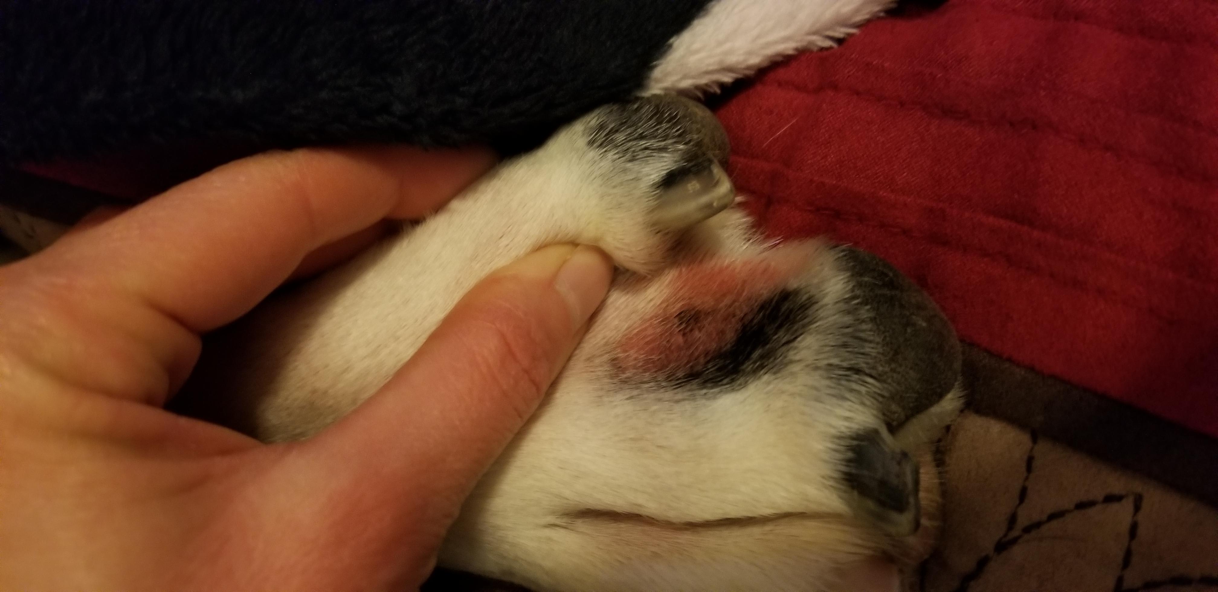 Question details sensitive content