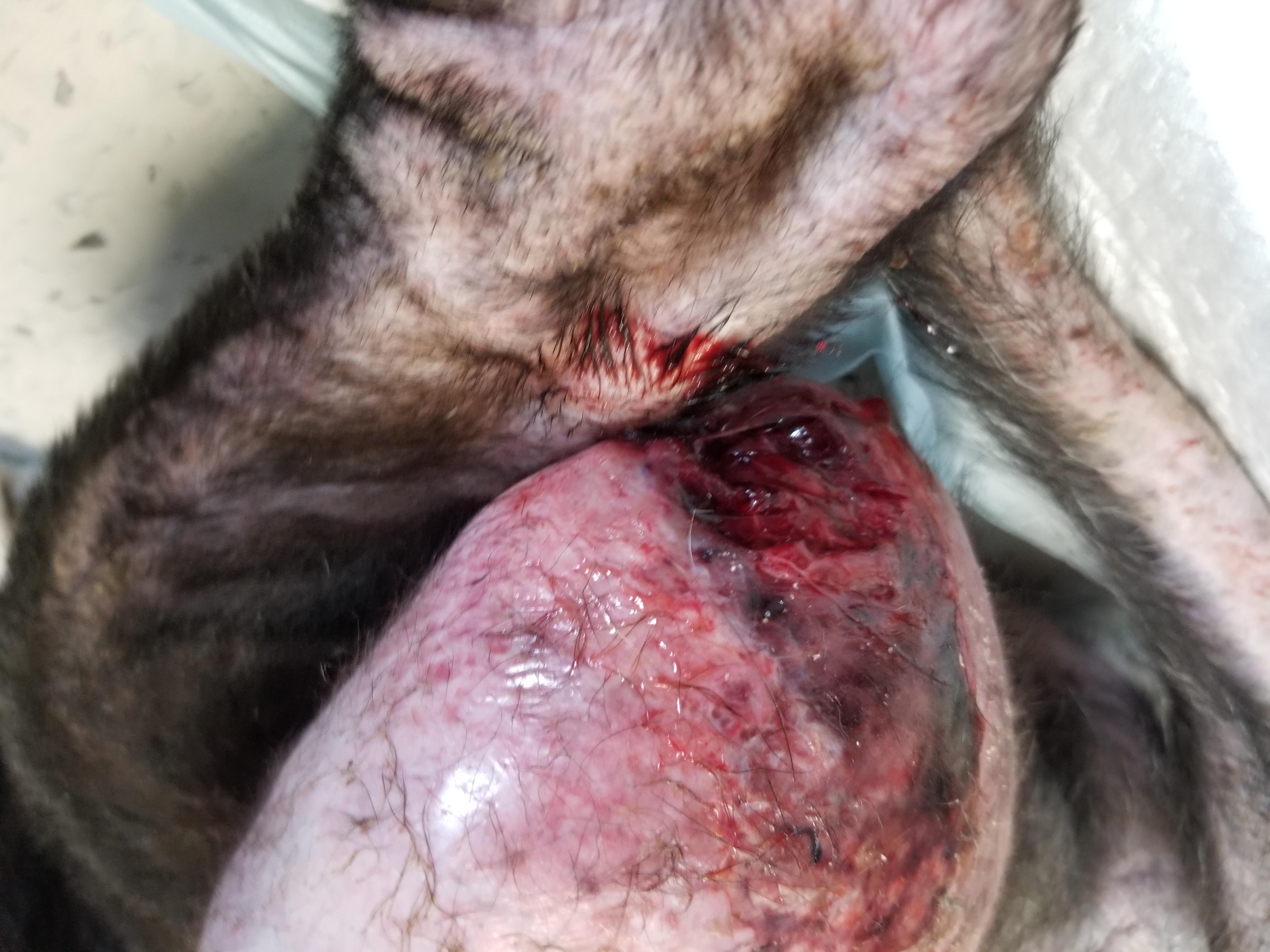 Question details sensitive content