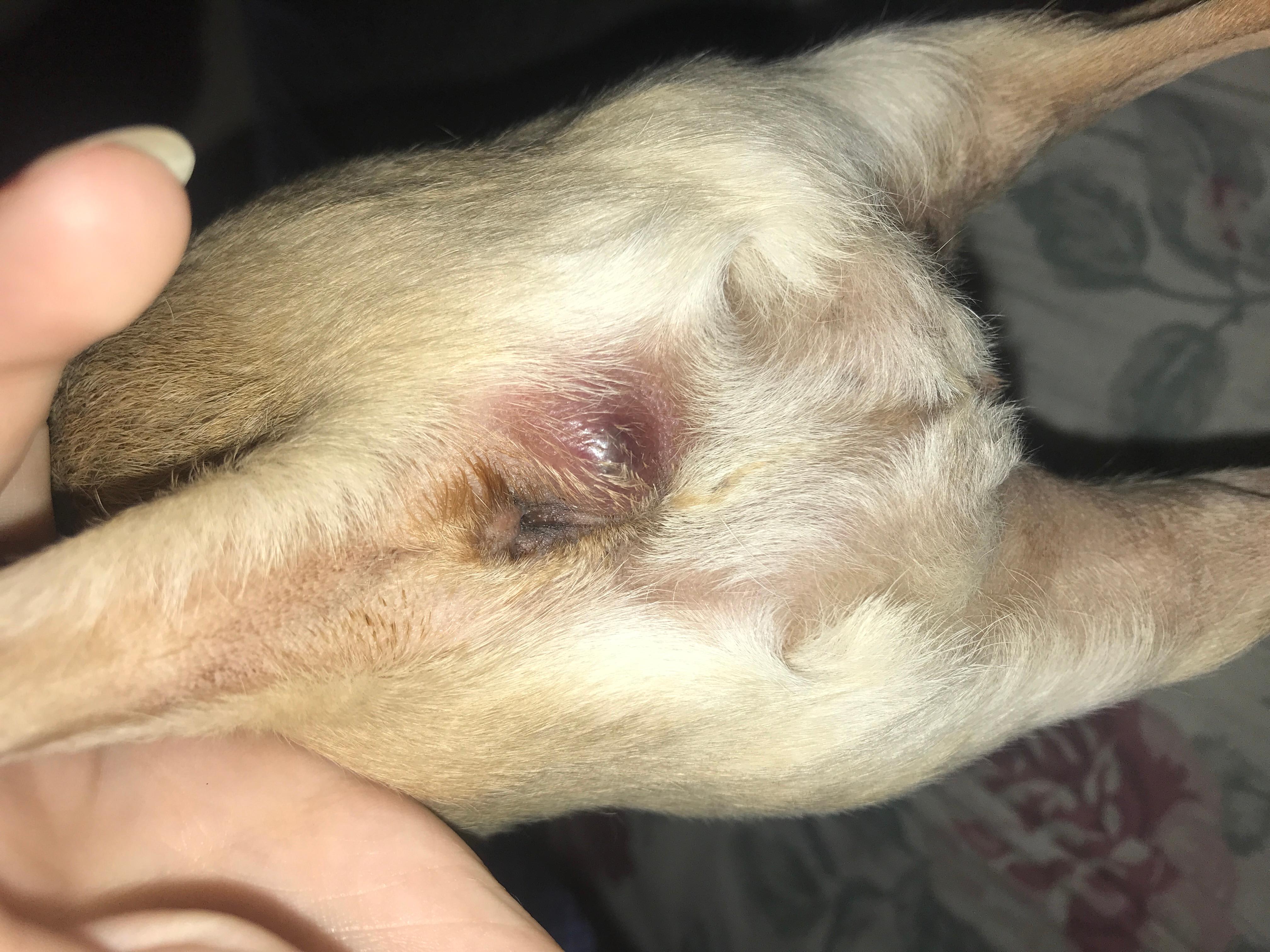 Question details sensitive content