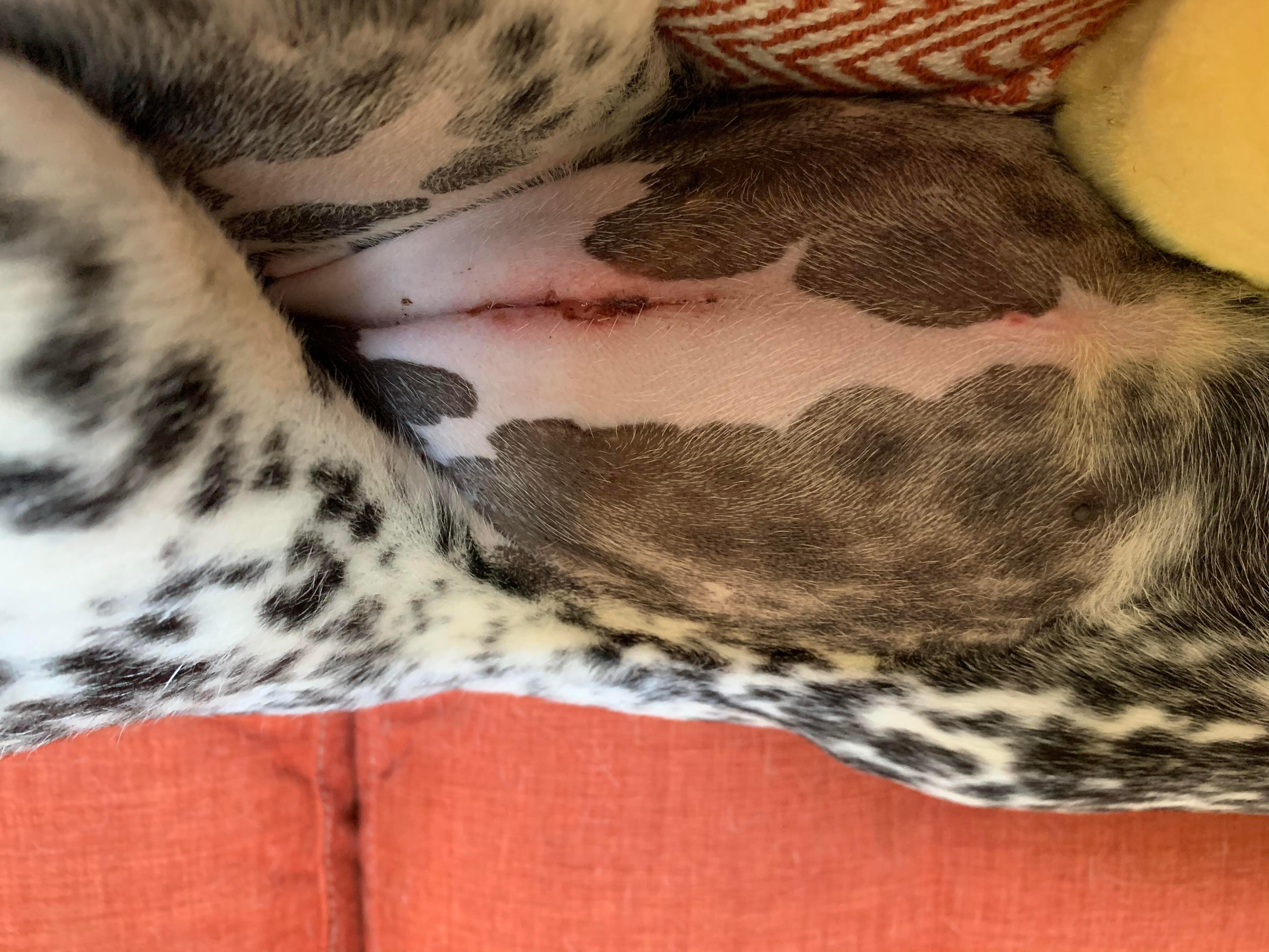 Question details sensitive content