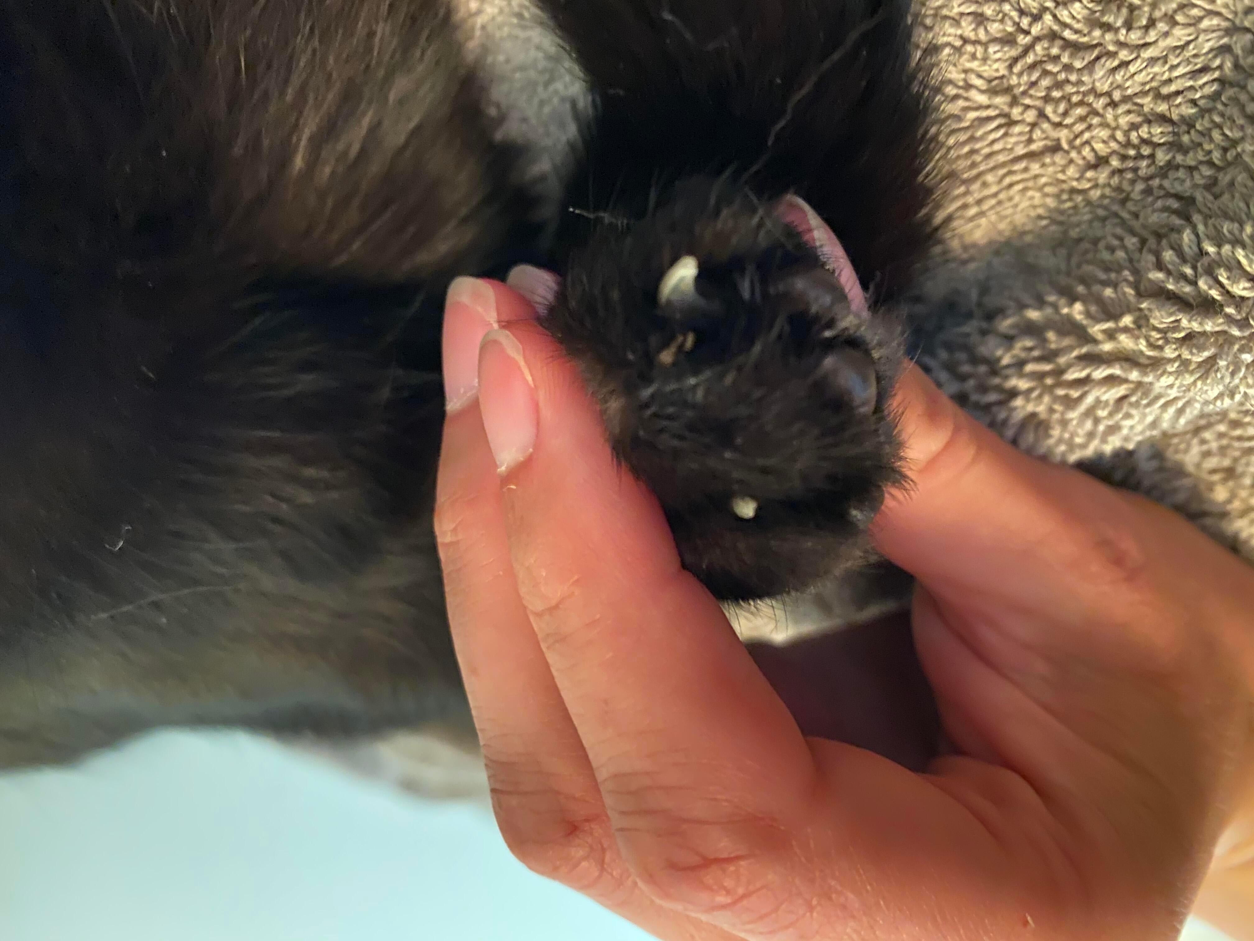 Question details sensitive content