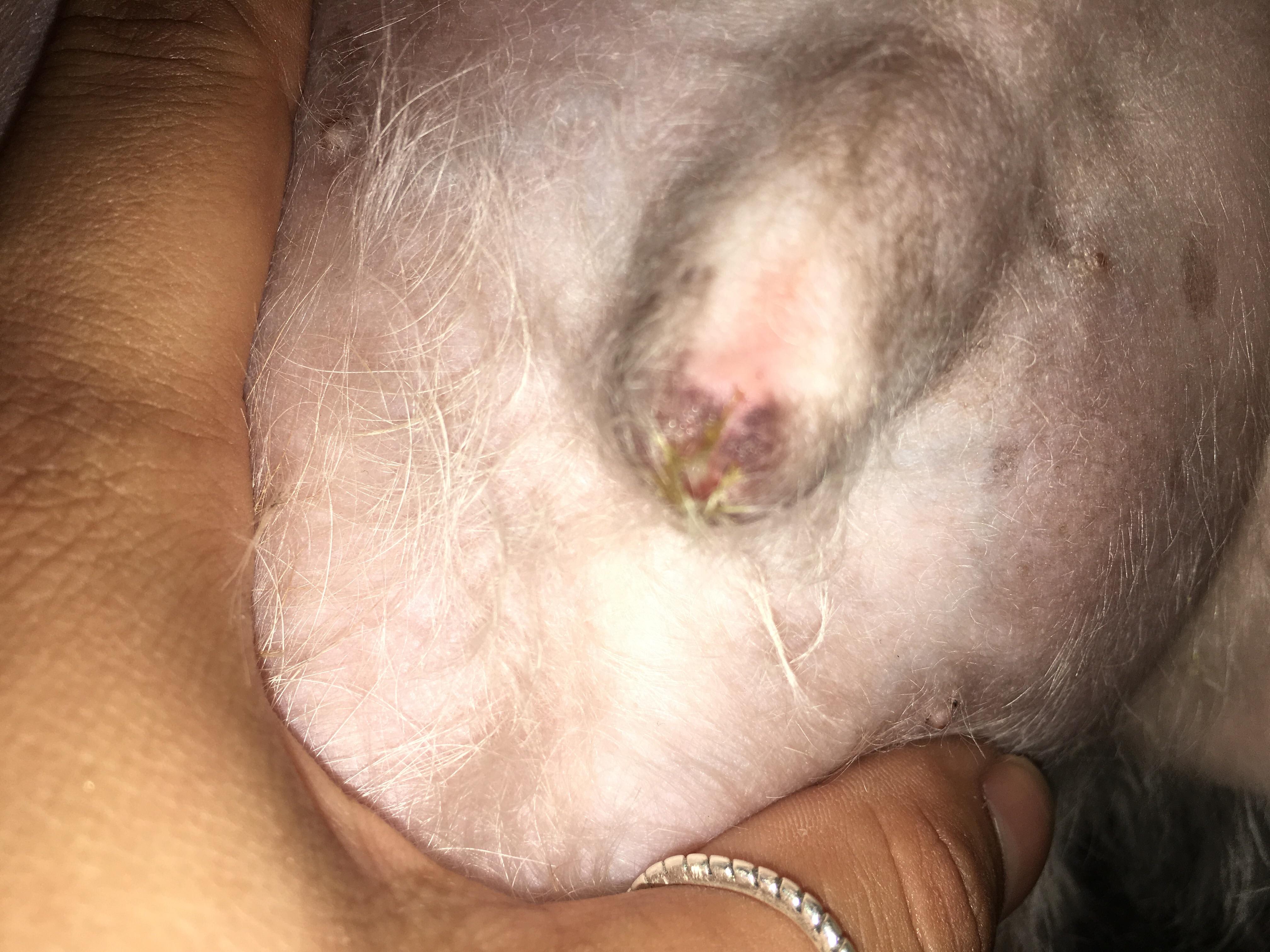 Question details sensitive content