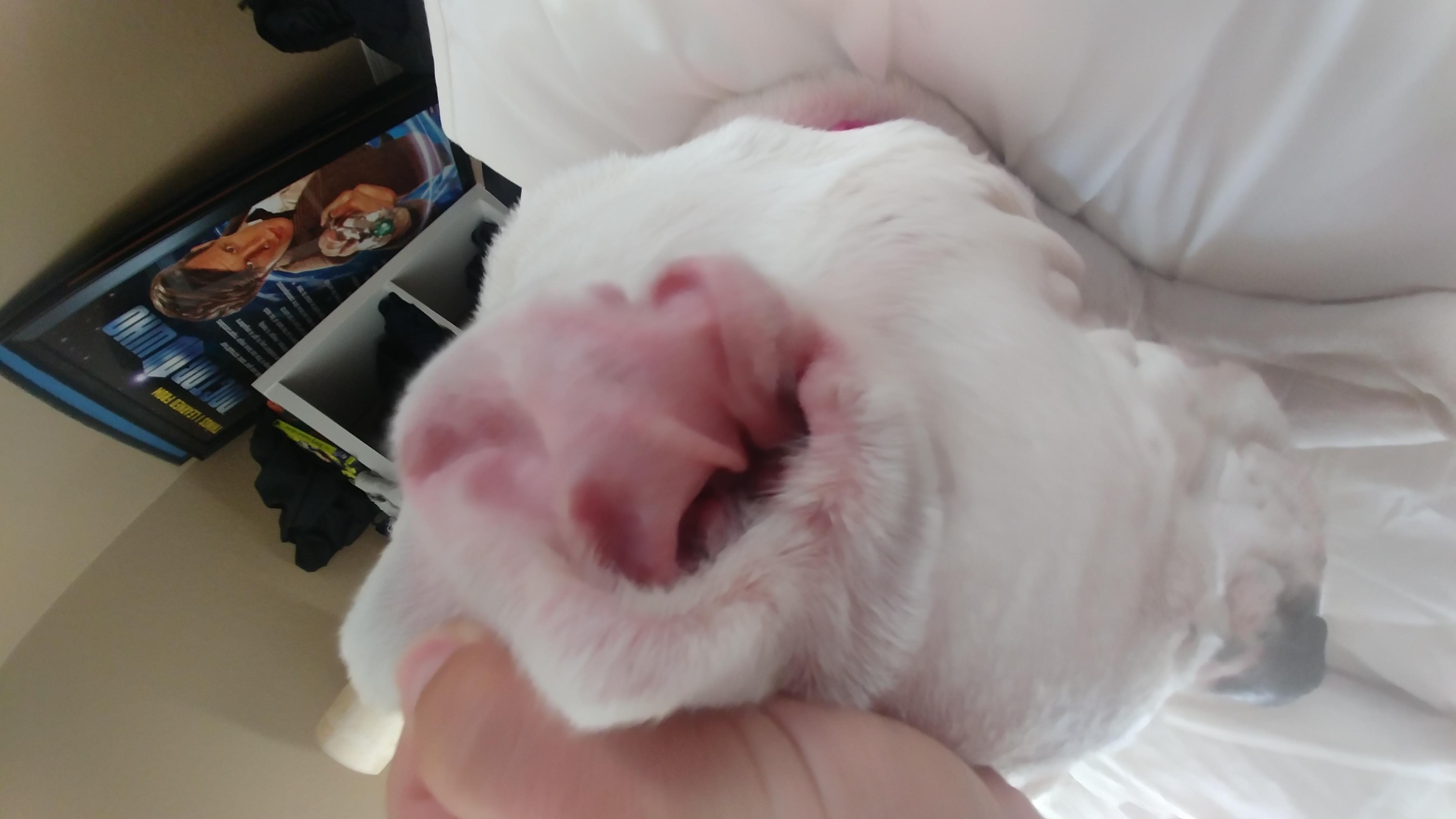 Question details sensitive content