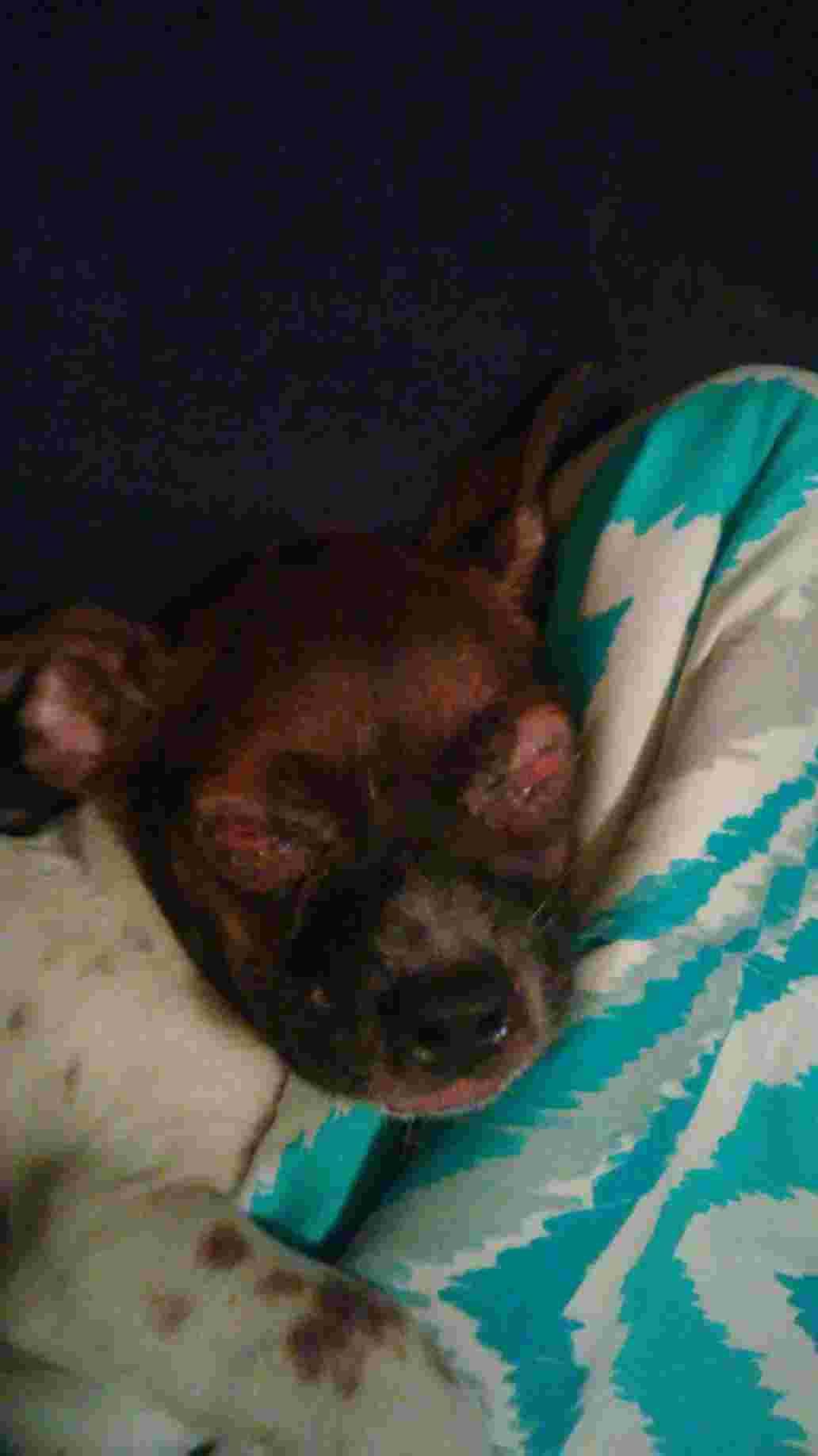 Question details sensitive content