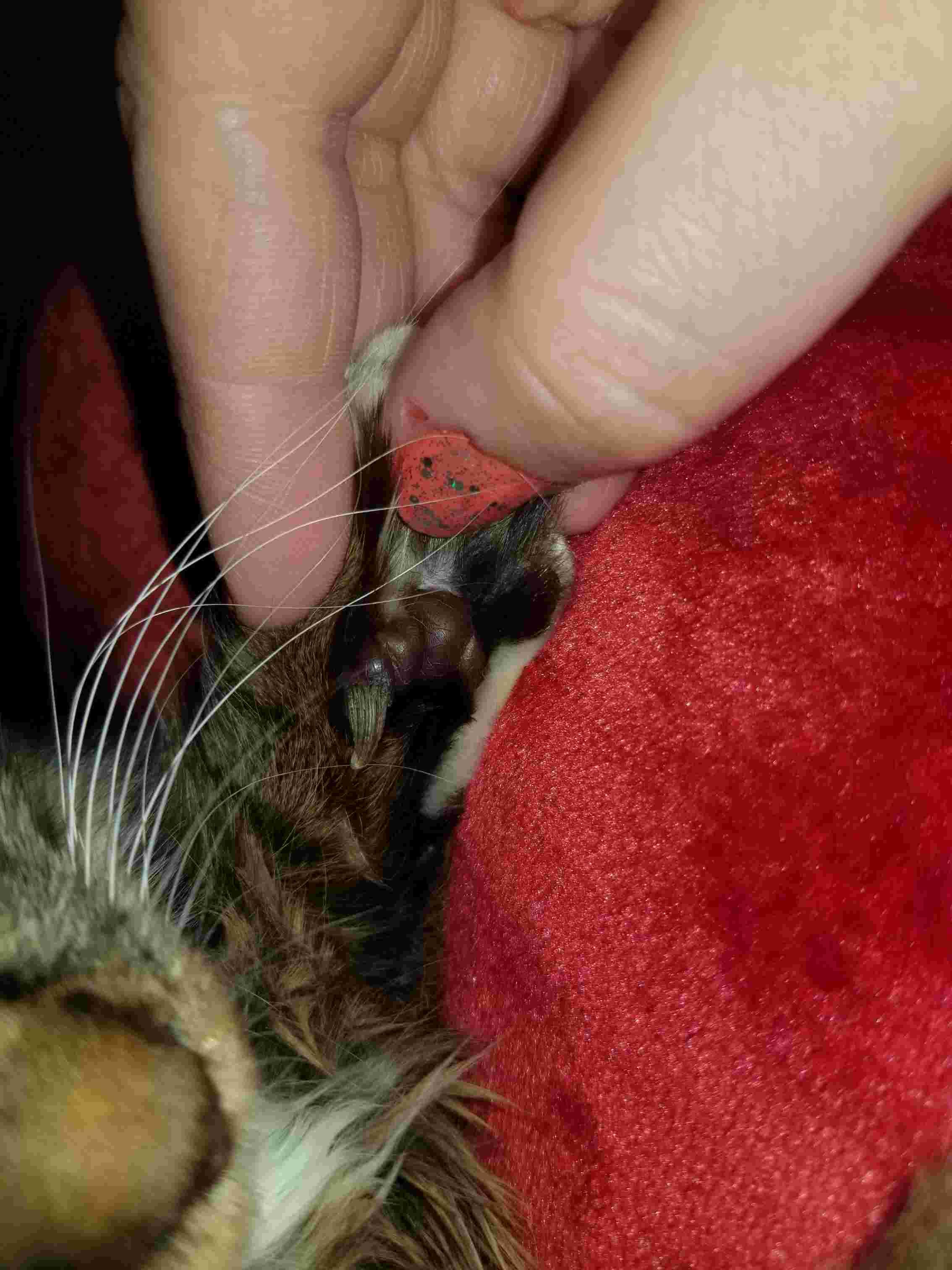 Question details sensitive content