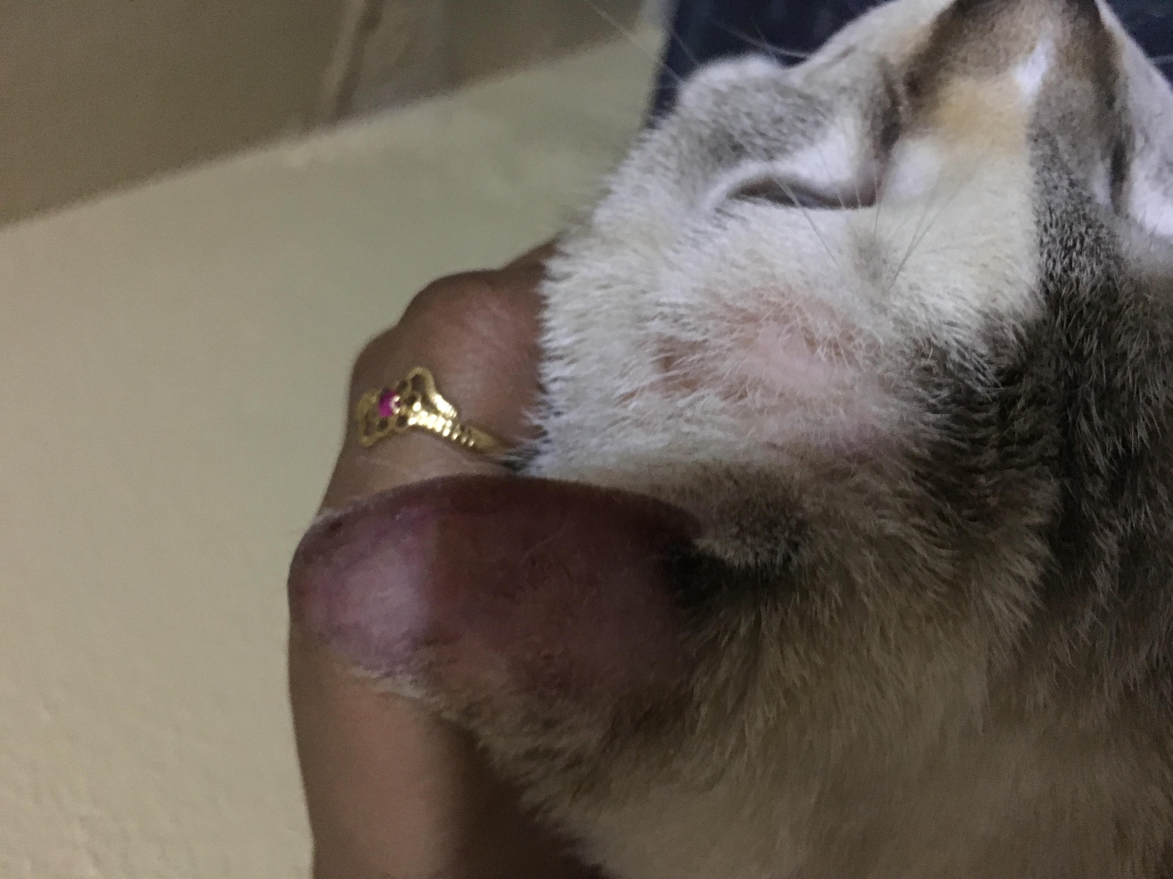 Question details sensitive content