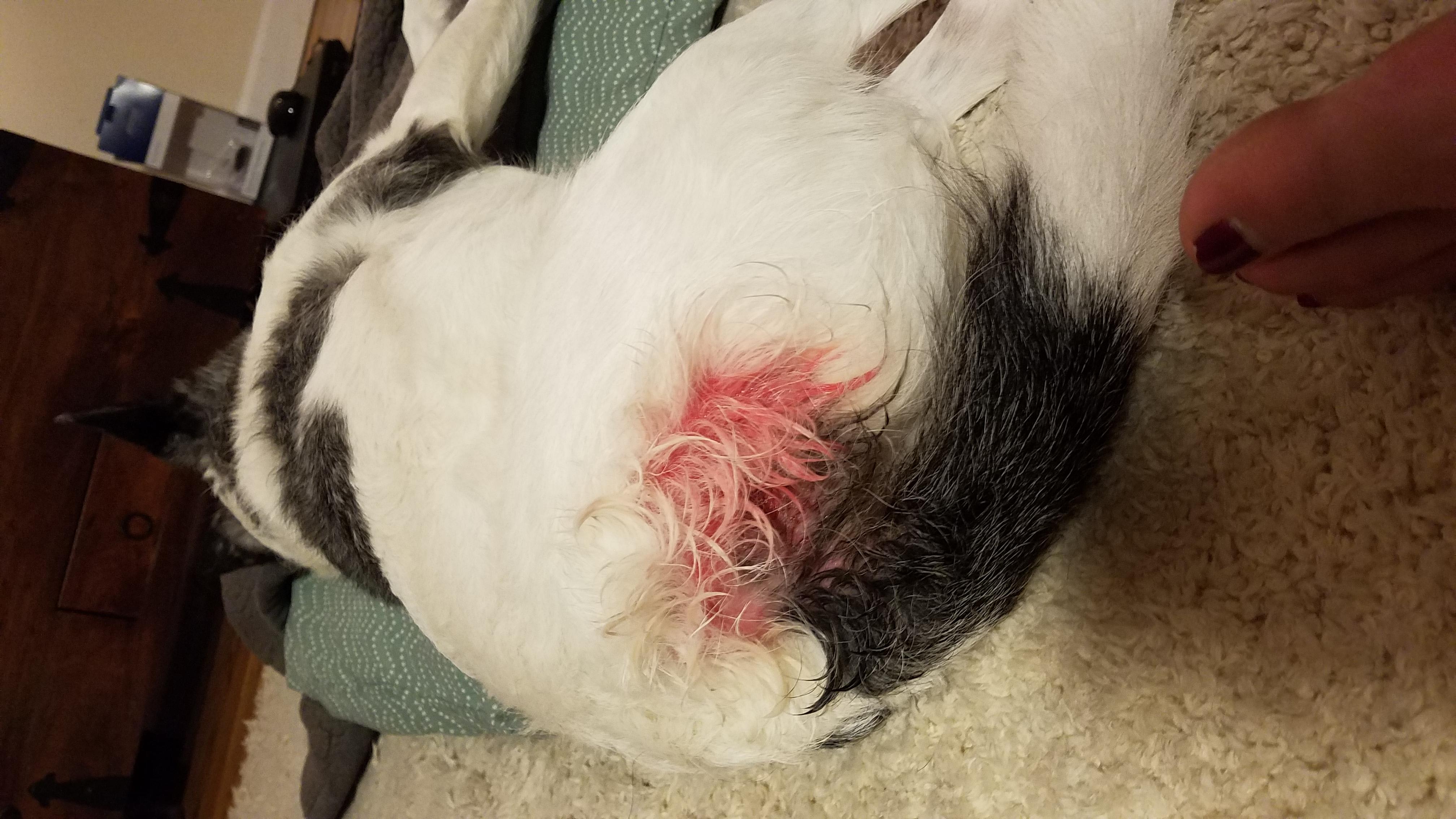 Question details sensitive content