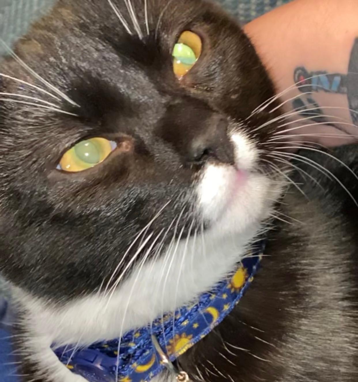 Question details sensitive content