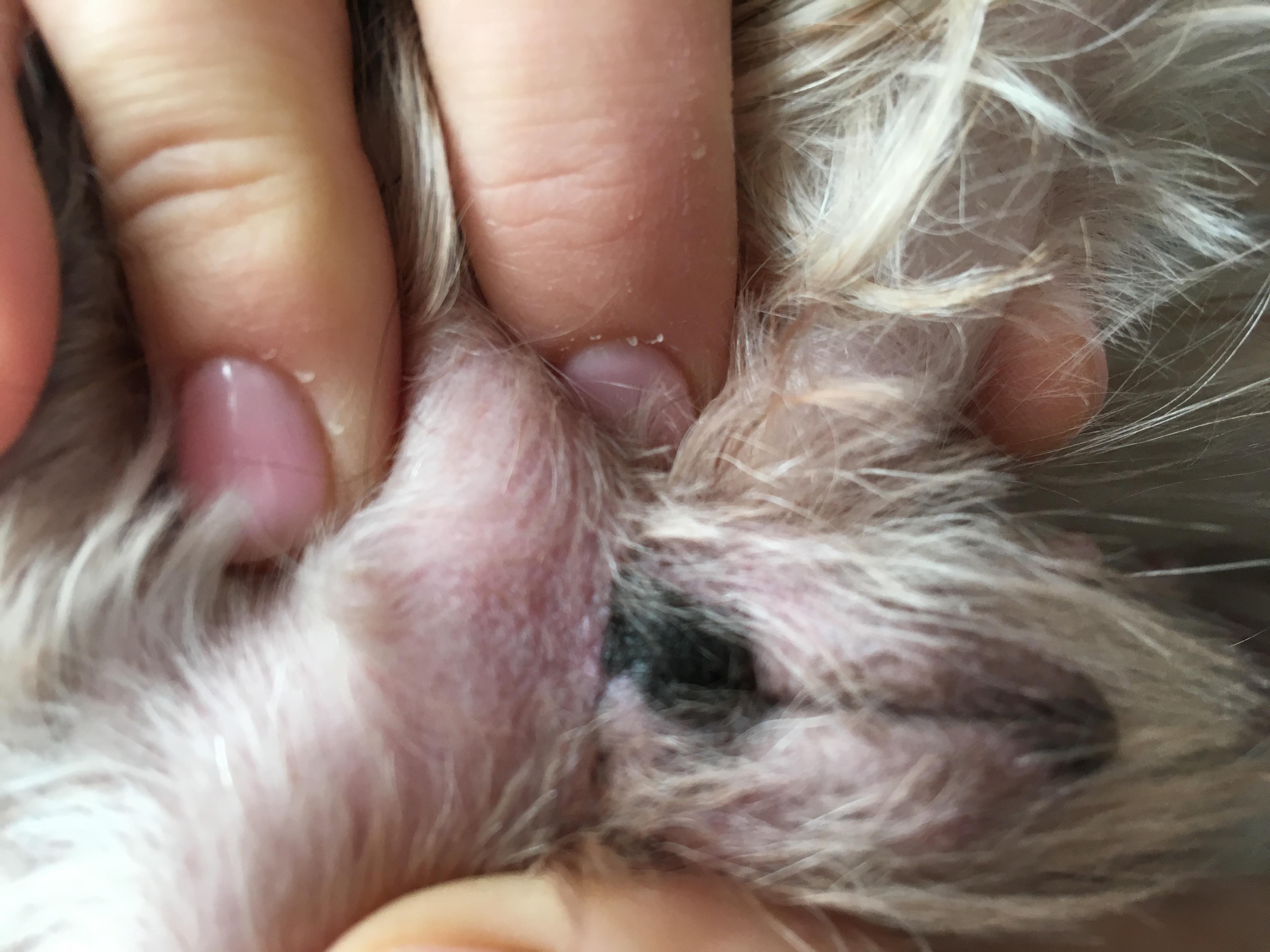 Question details sensitive content