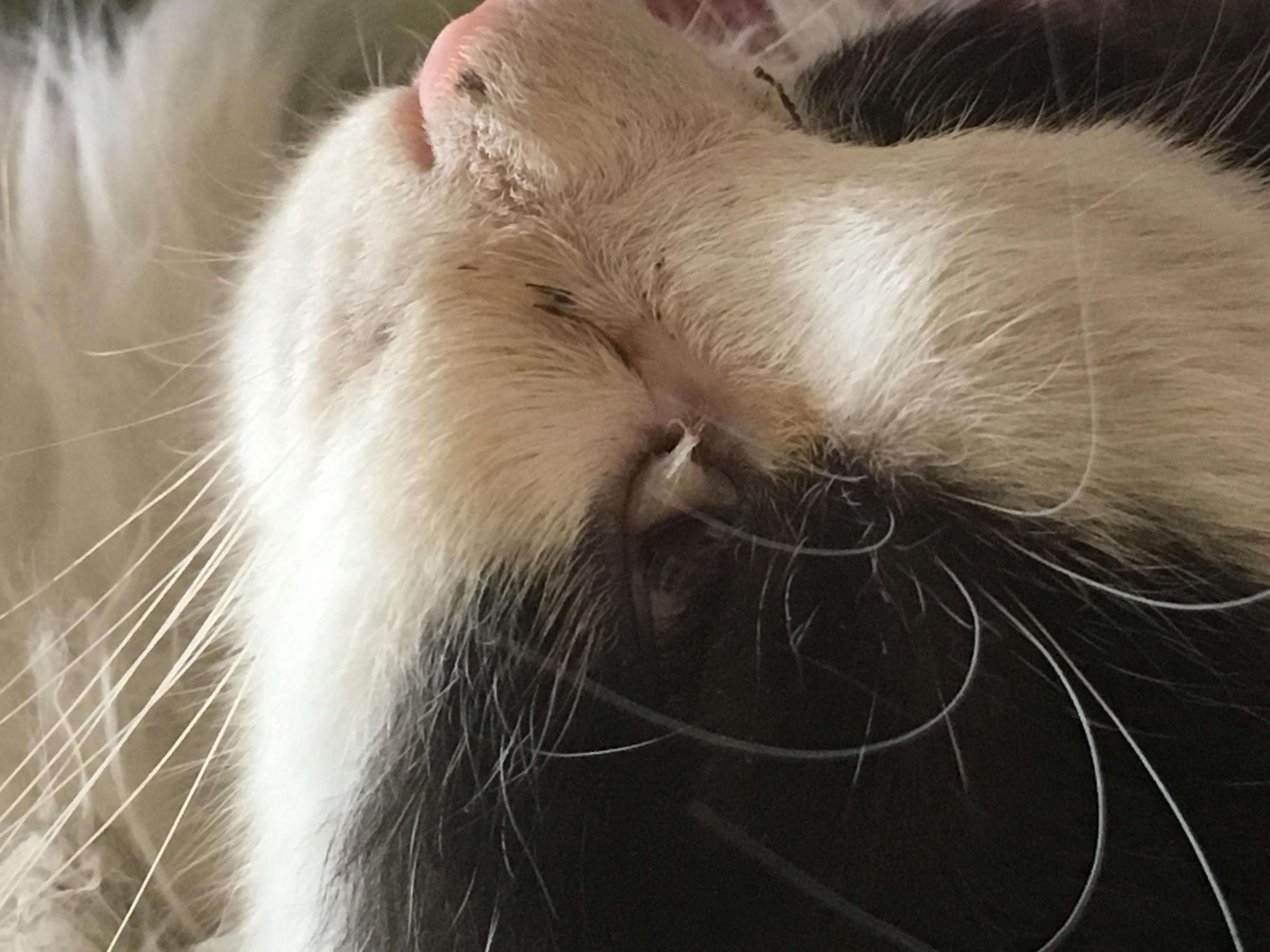 Question details sensitive content