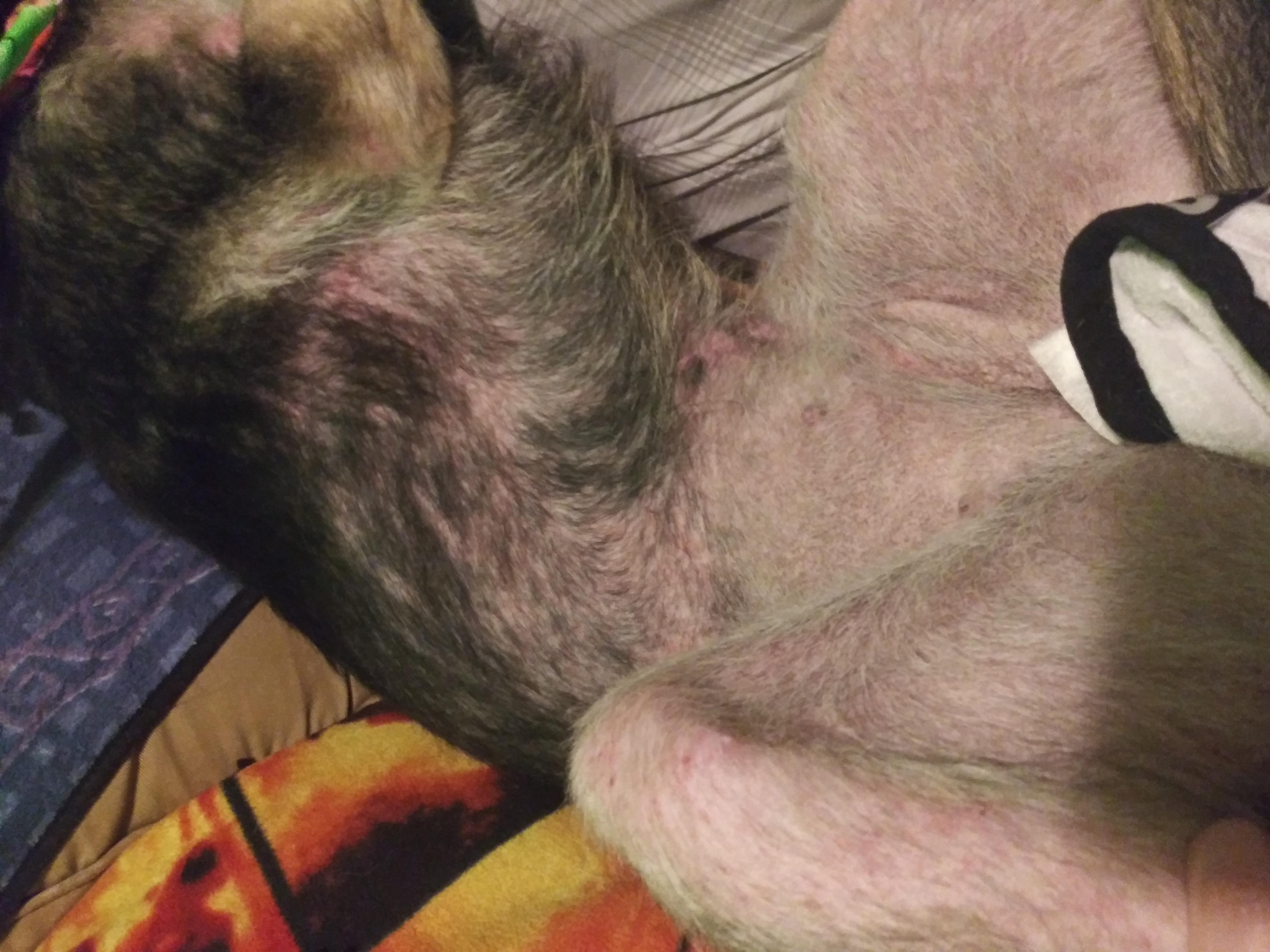 Question details sensitive content