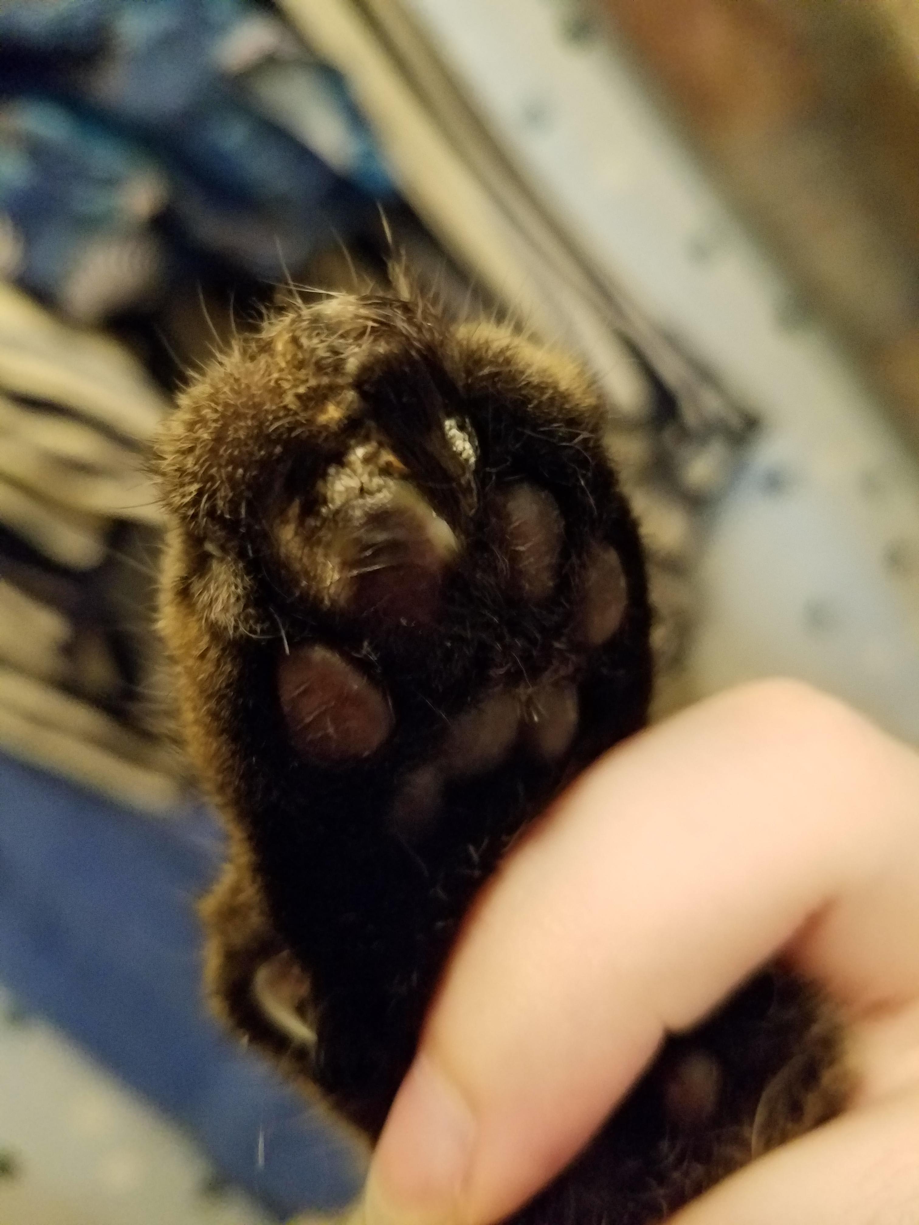 Question details sensitive content