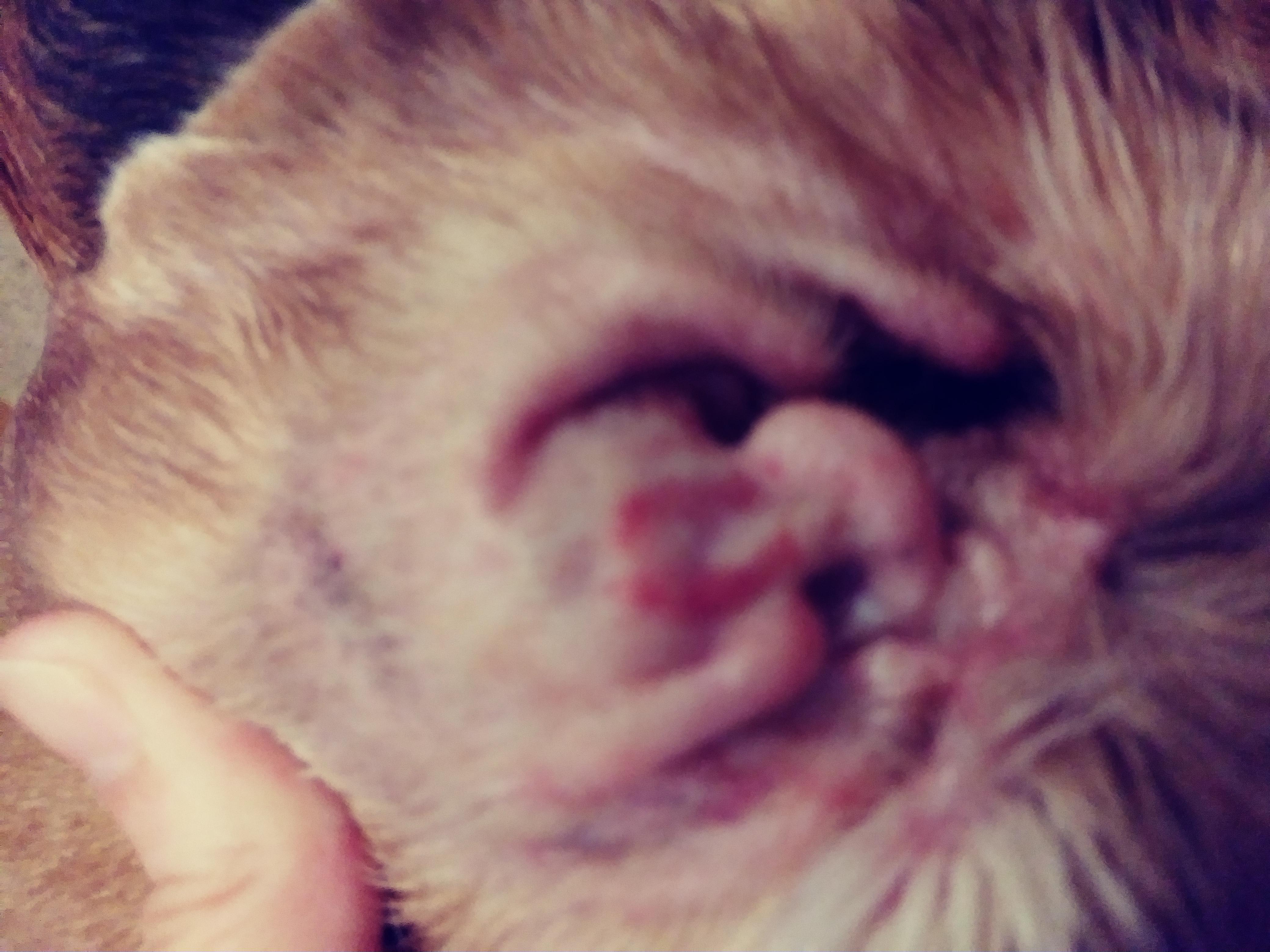 Question details sensitive content