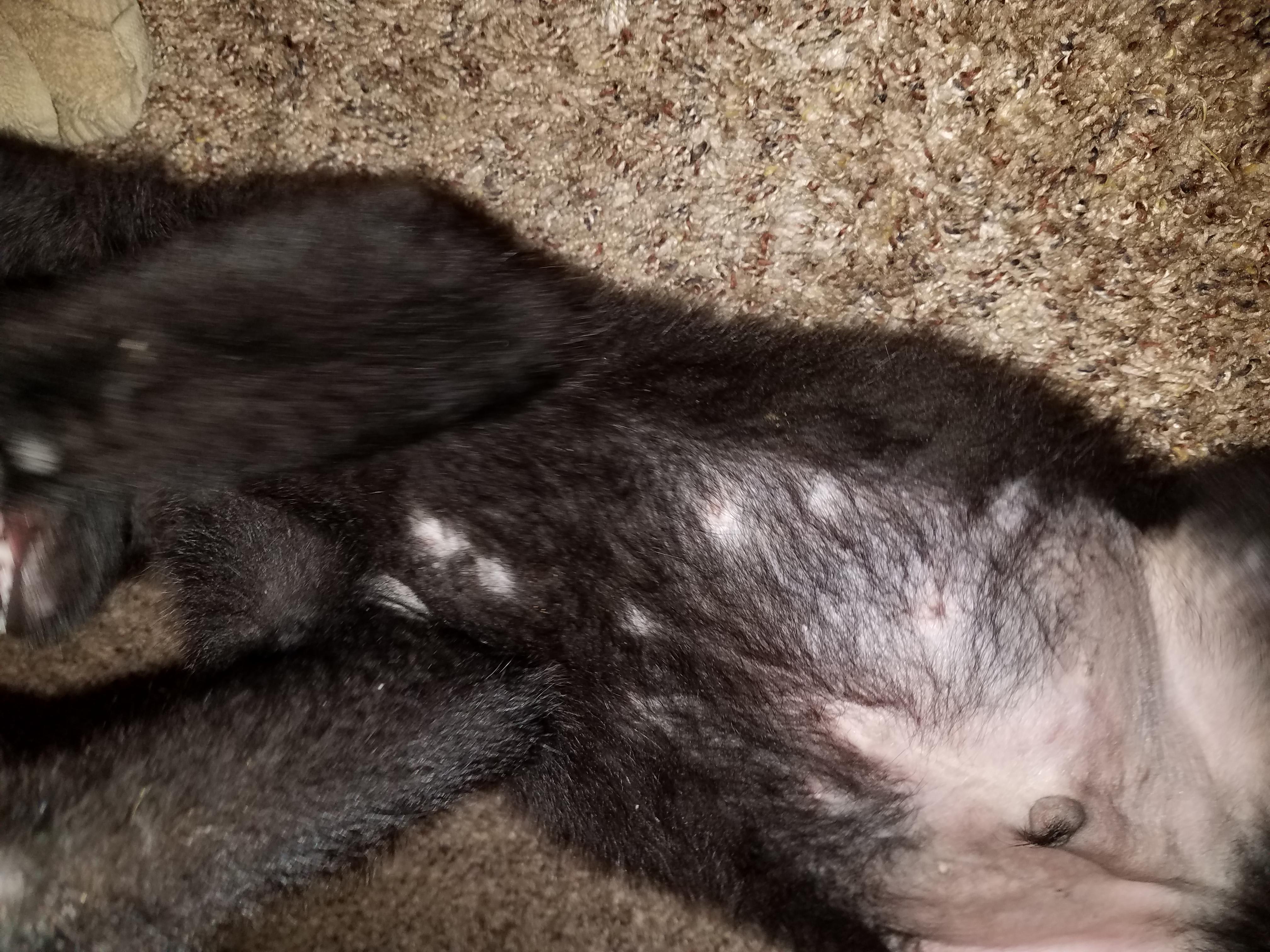 Question details sensitive content