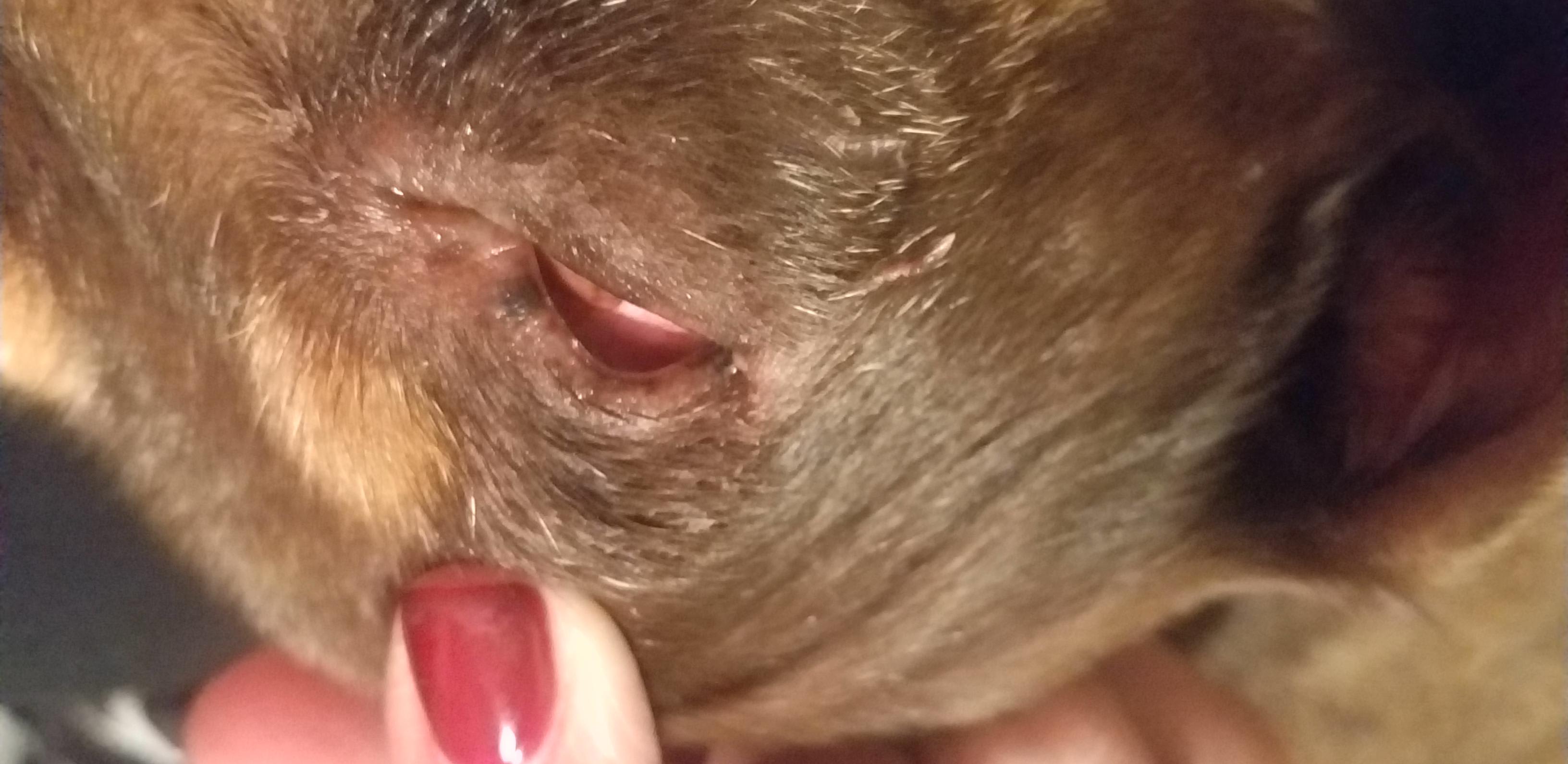 Question details sensitive content