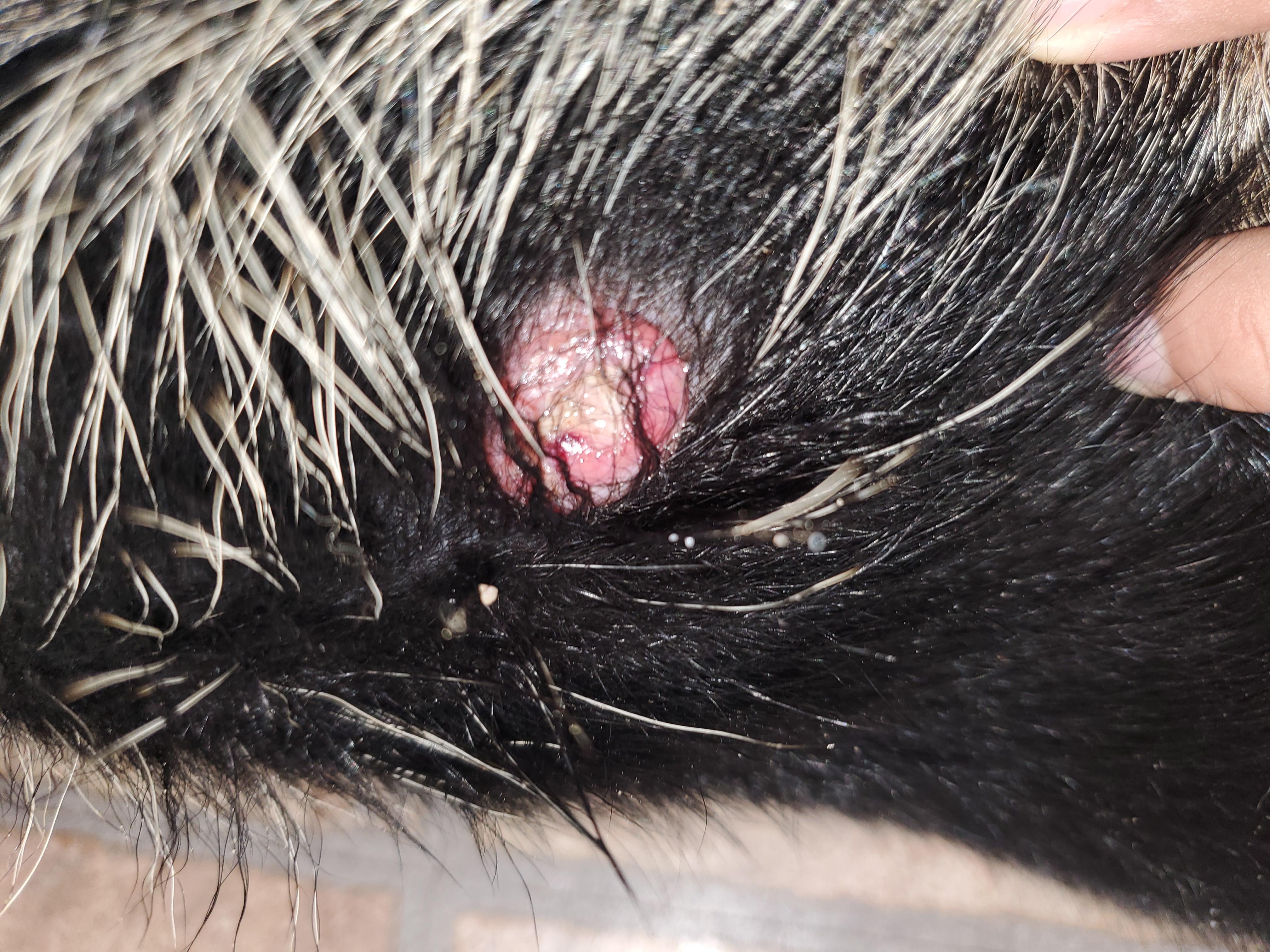 Question details sensitive content