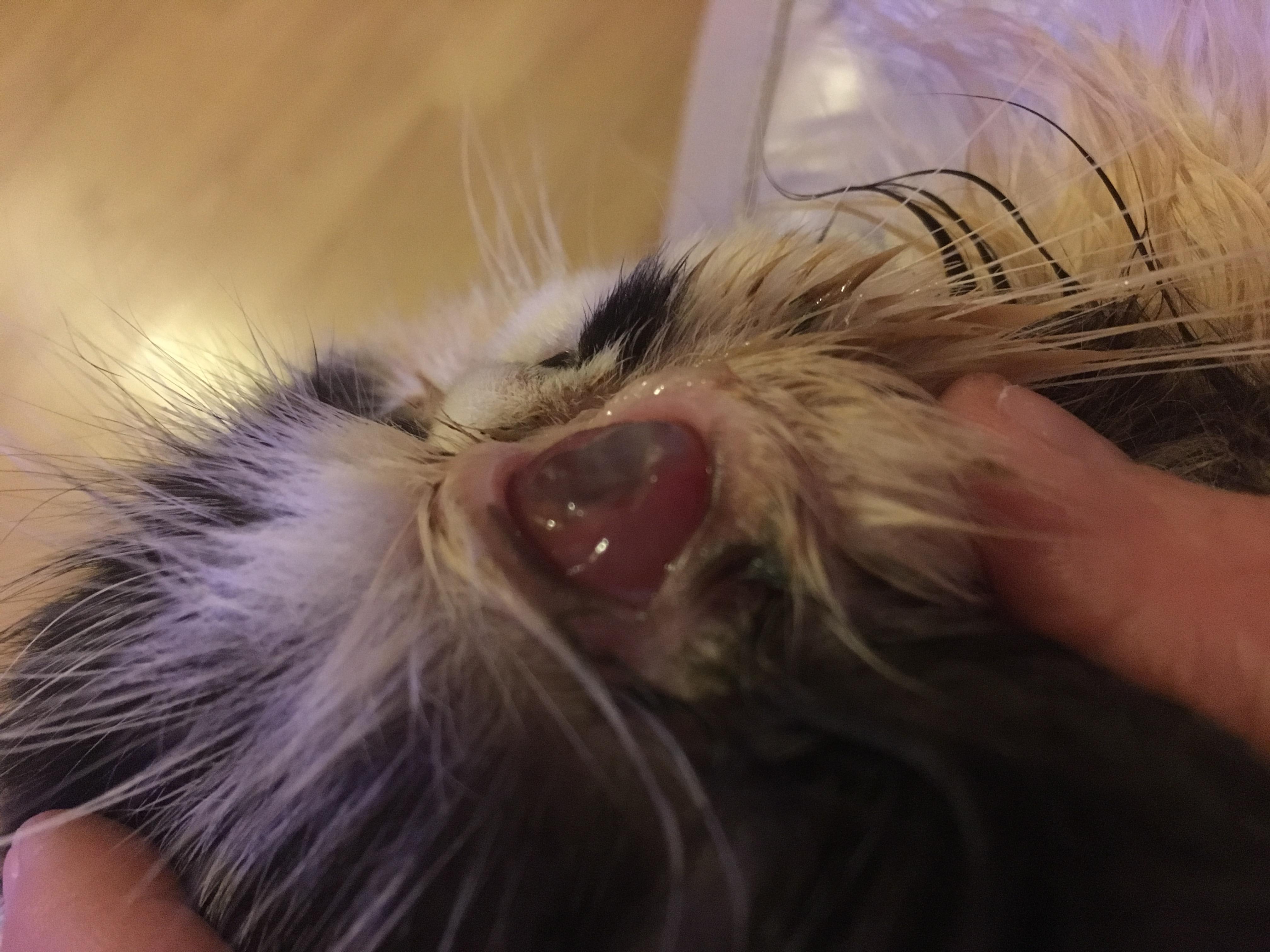 Question details sensitive content