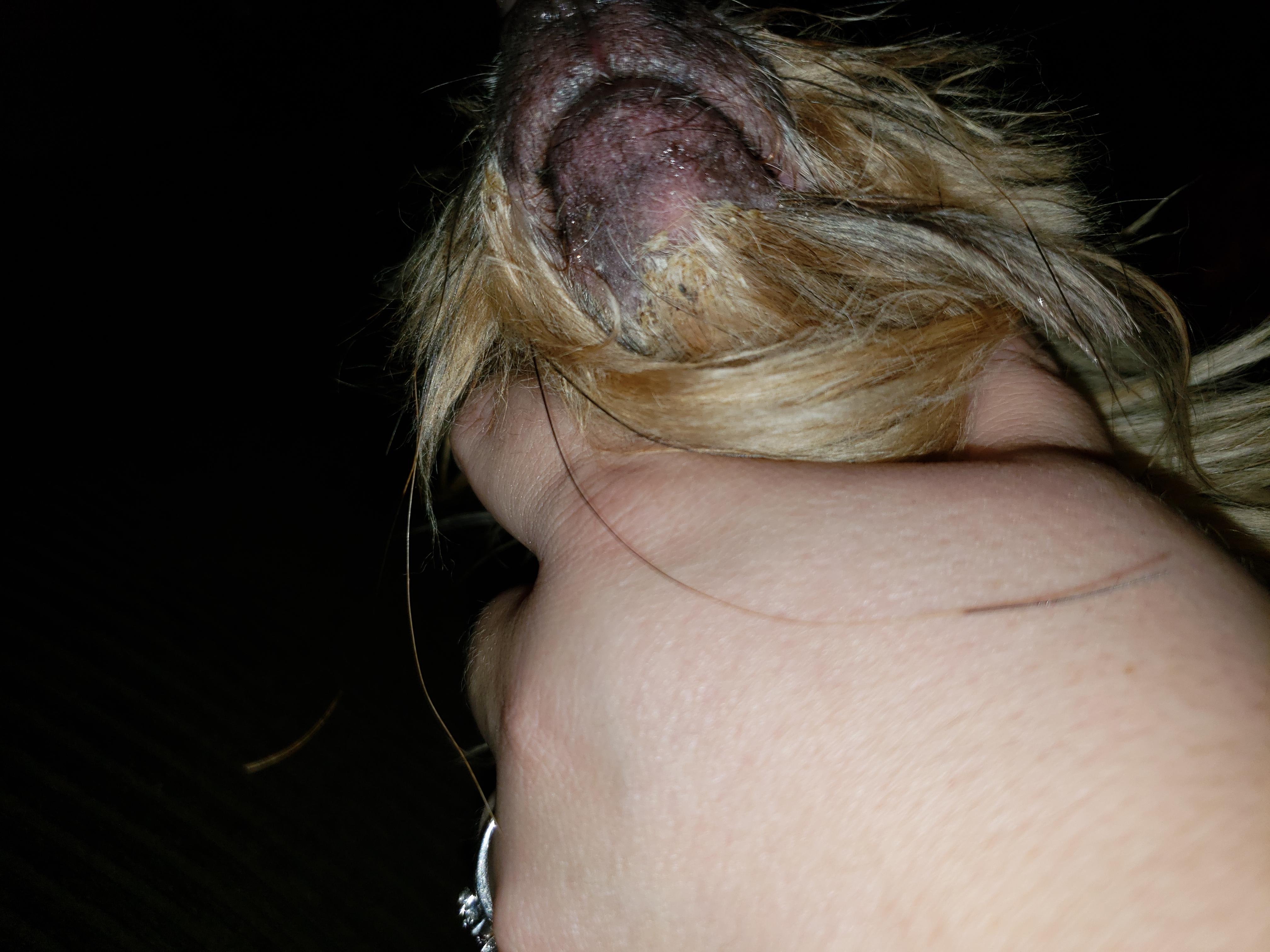 Question details sensitive content