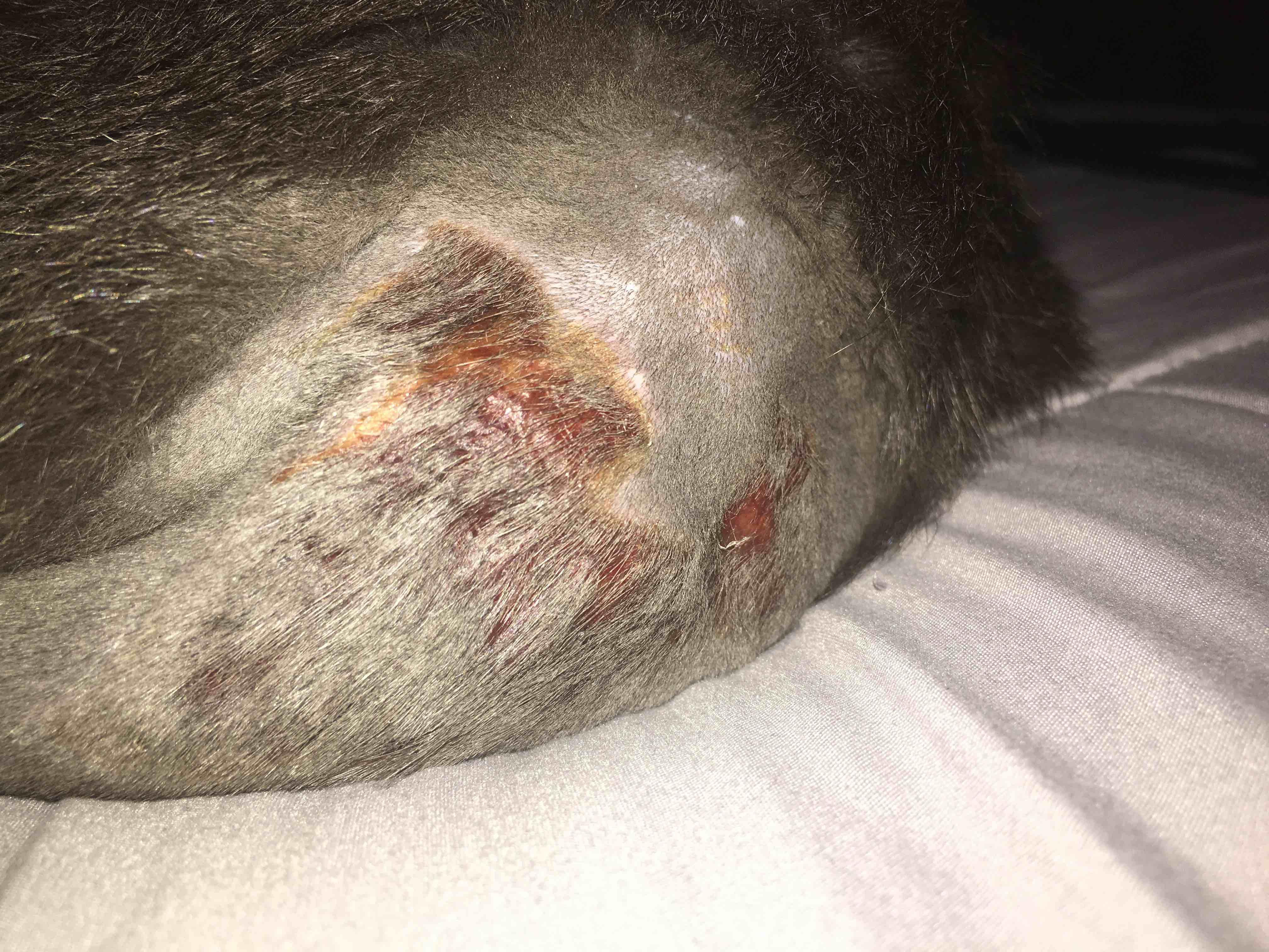 Question details sensitive content