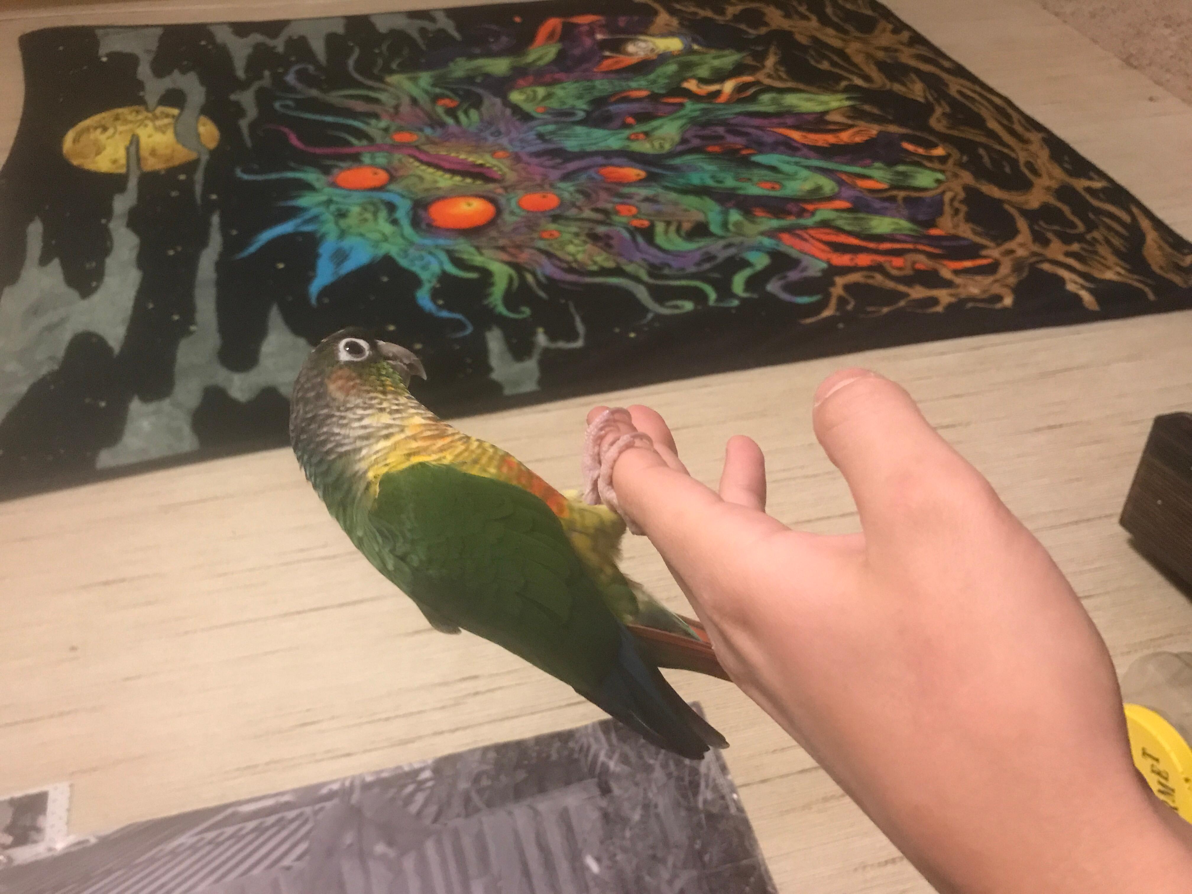 Question details sensitive content